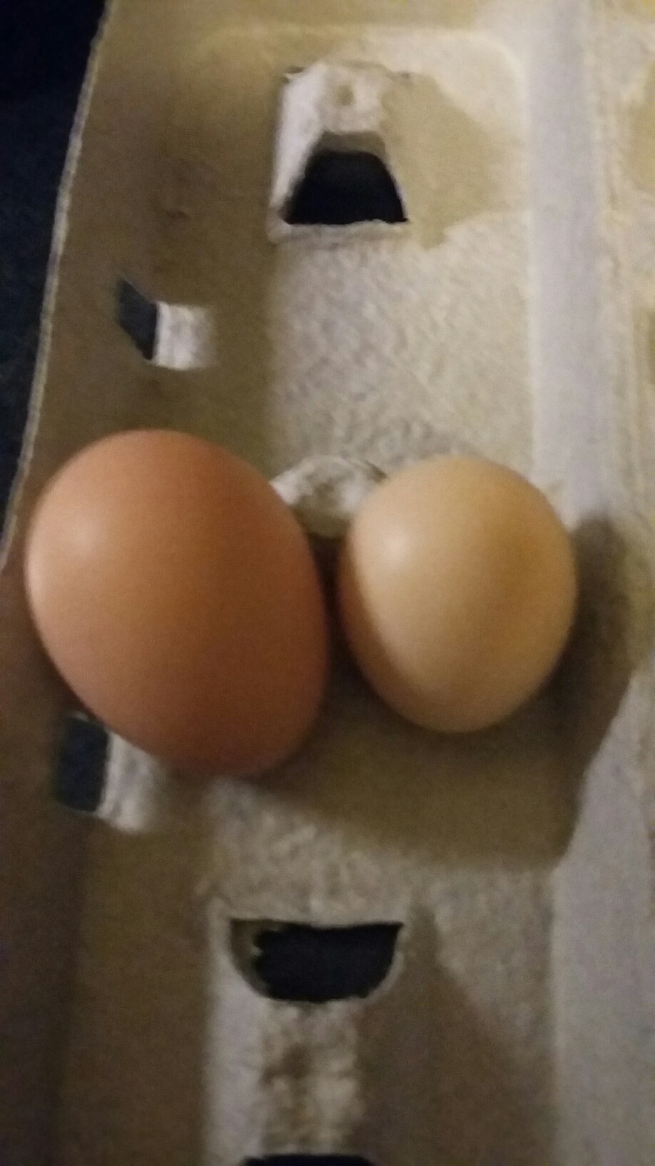 Another double yoke from Ruby!