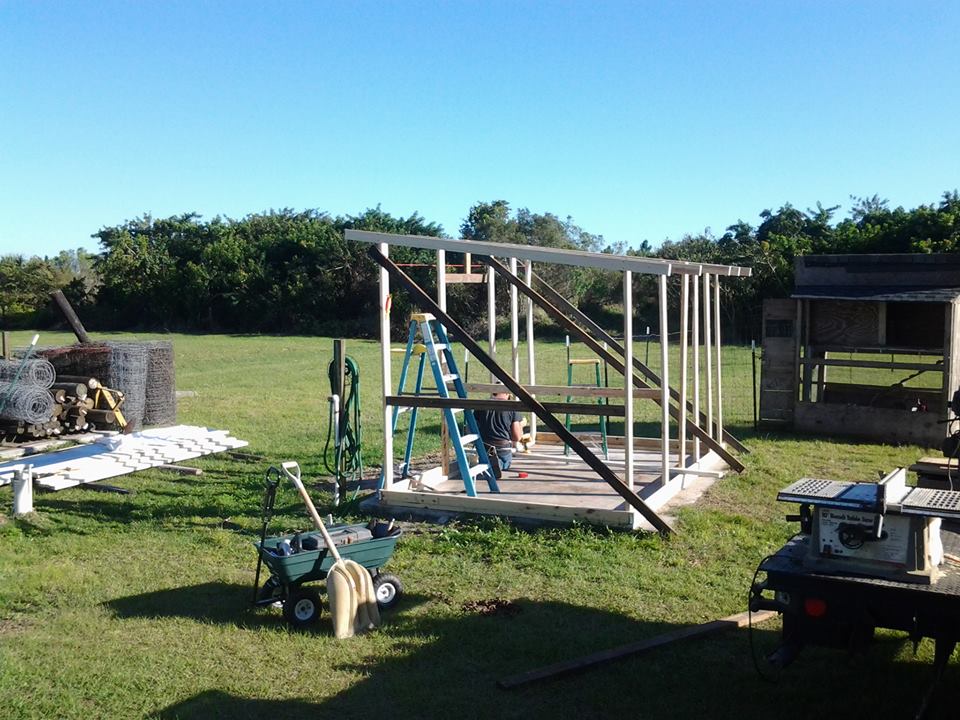 Another framing shot*