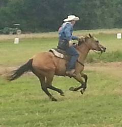 Another hobby I like. ACWRA