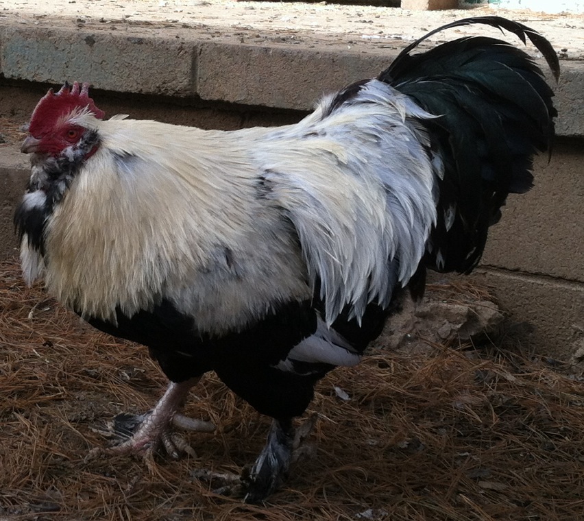 Another one of my dads