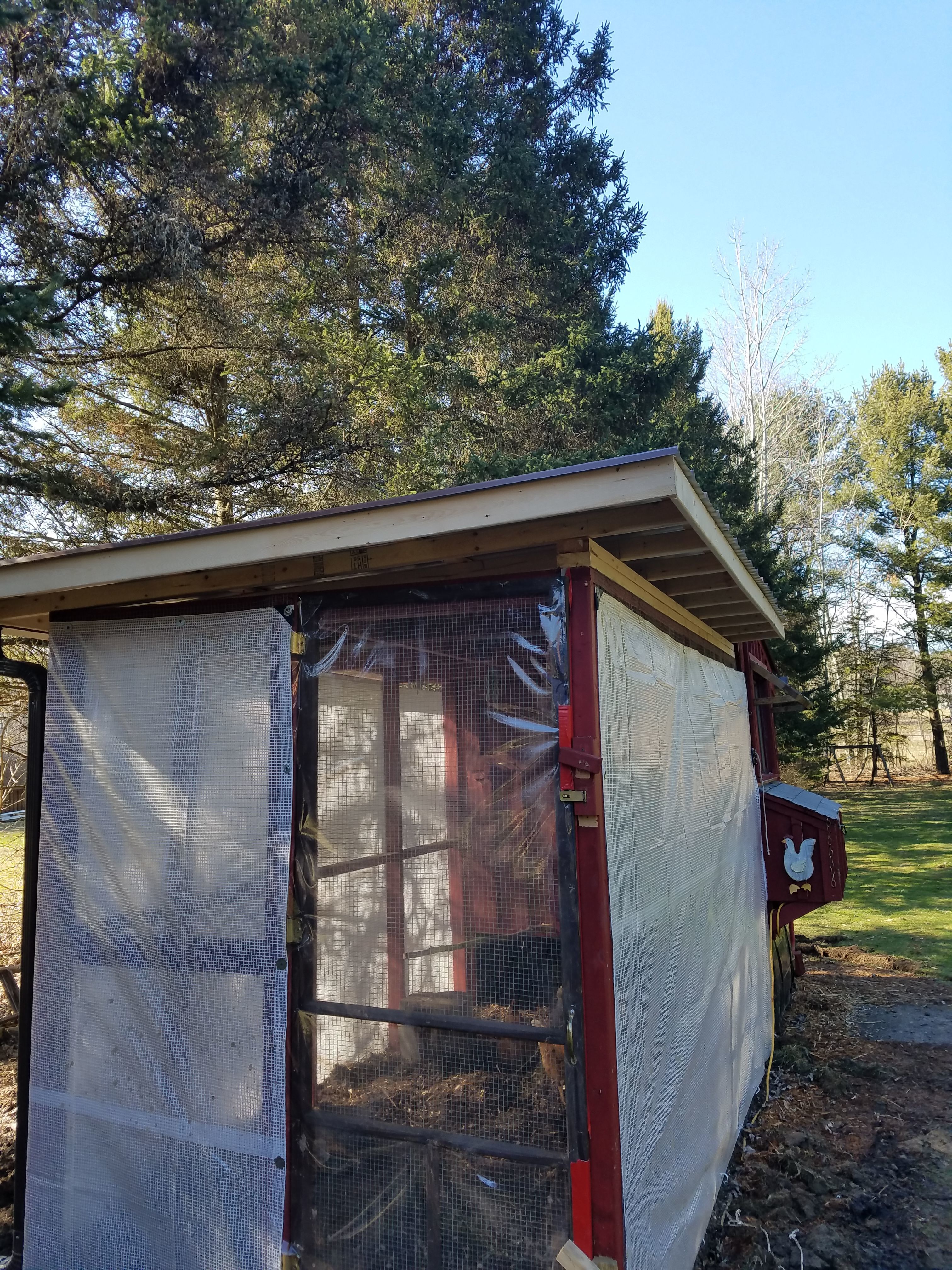 another shot of the metal roof, and entry door to the run, their is a 12" overhang completely around the run now. next step is to install 1/2 hardware cloth around the opening under the roof to keep birds and squirrels from nesting under the roof