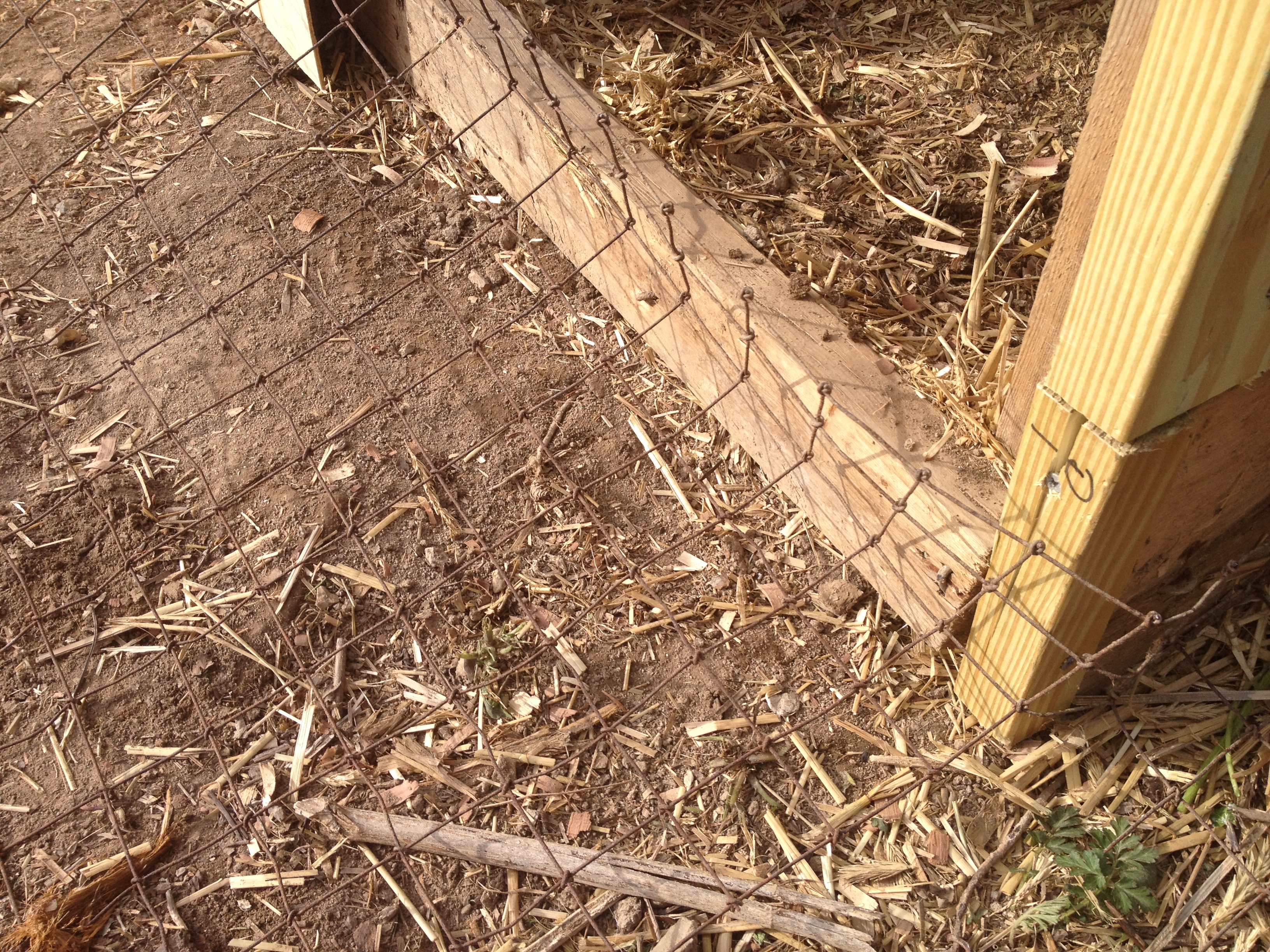 Another shot of the wire used for protection.