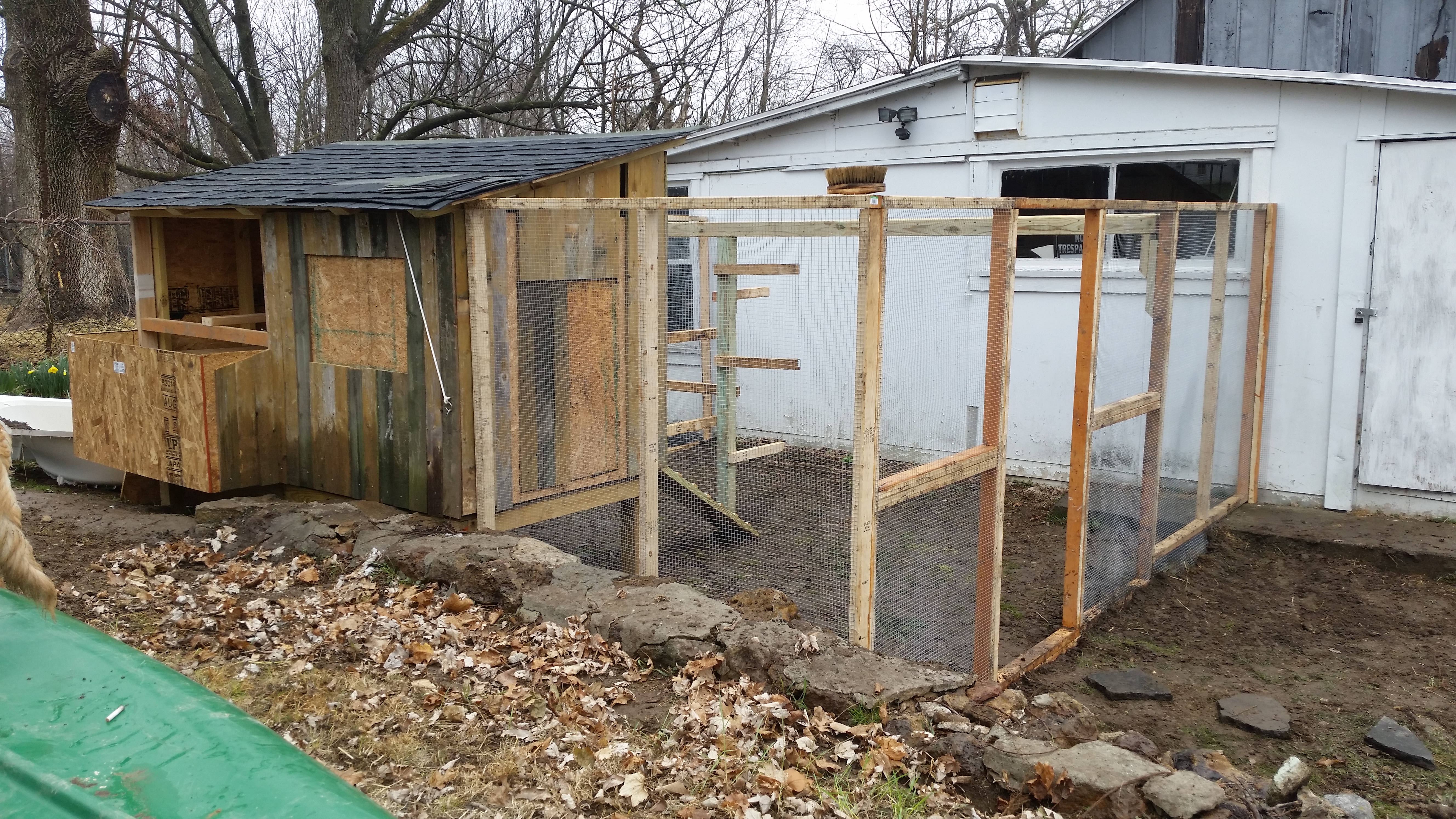 Another view of the run before the door was put on.