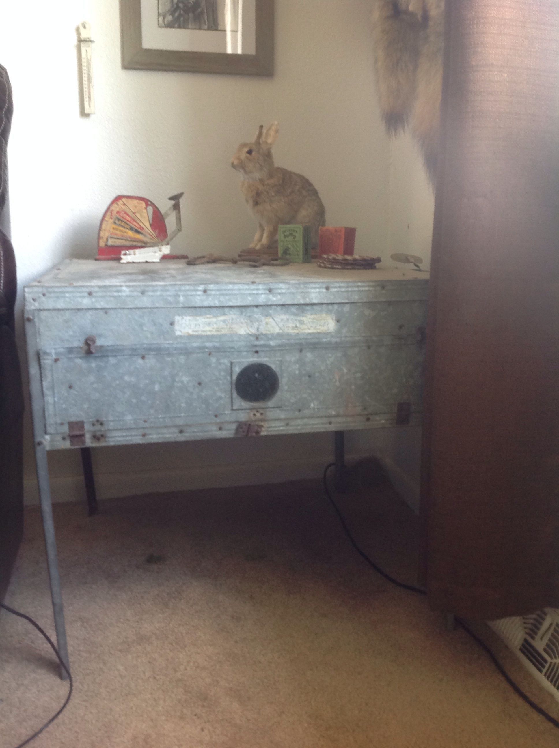 Antique brooder I picked up from CL. "Old Trusty Incubator" over 100 years old.