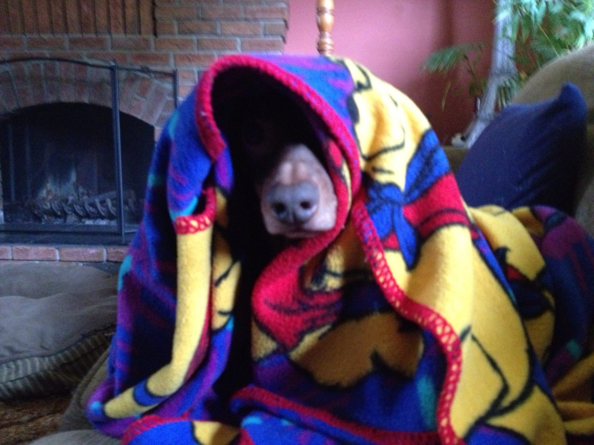 Apparently I disturbed him from his slumber lol