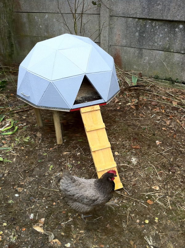AppleMark 
http://relaxshax.wordpress.com/2011/02/15/a-geodesic-chicken-dome-as-your-home-yeah-probably-not-but-its-****-cool/