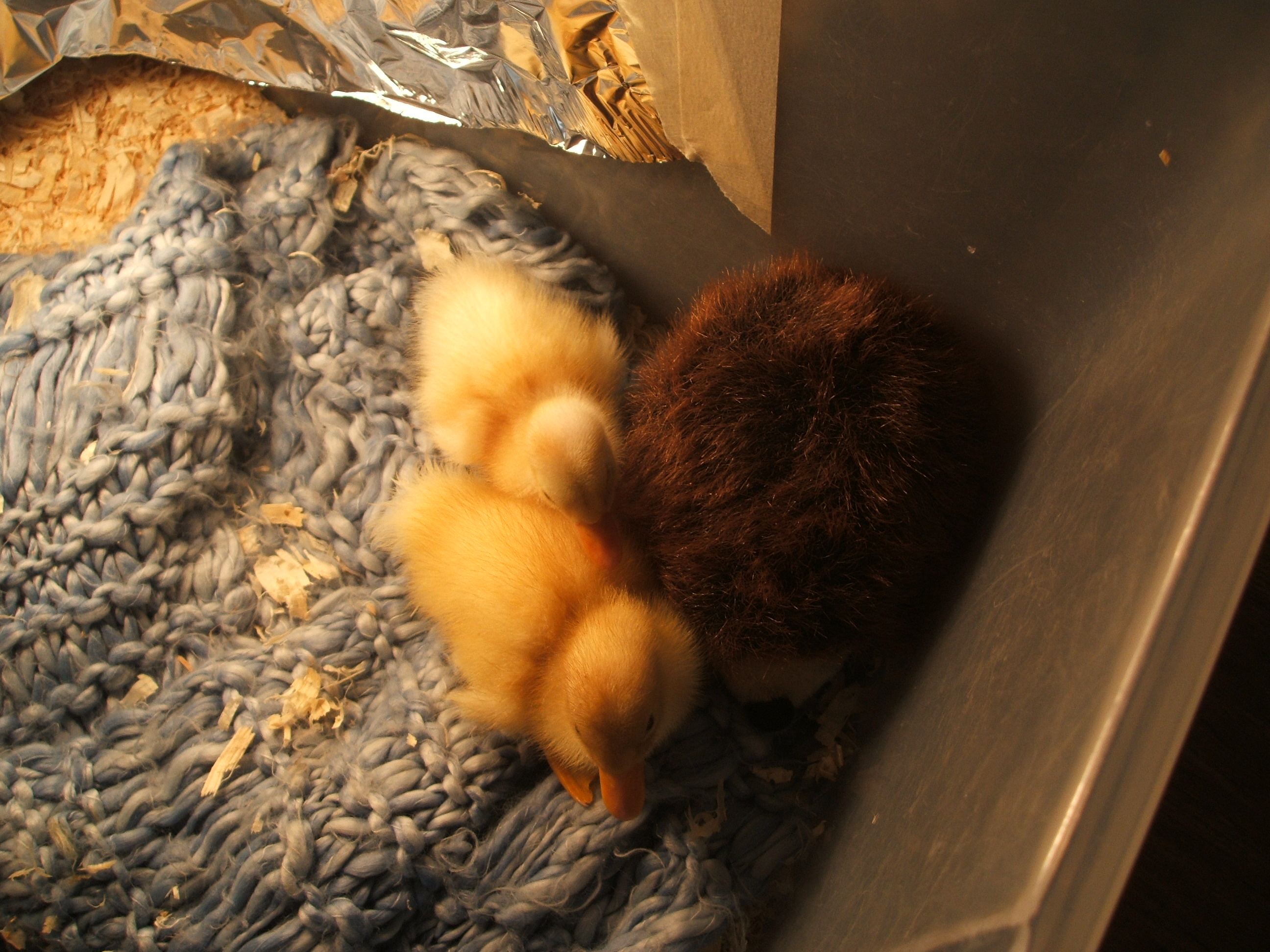 April and Milky.
