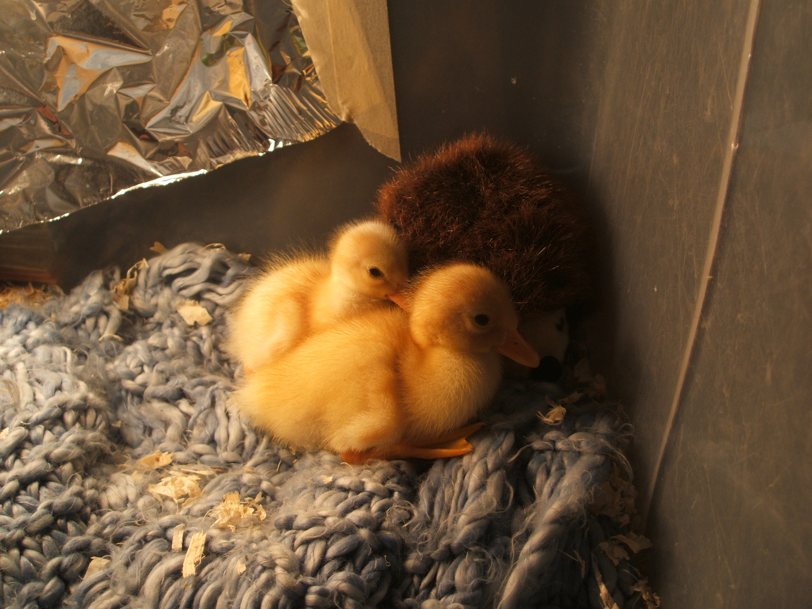 April and Milky.