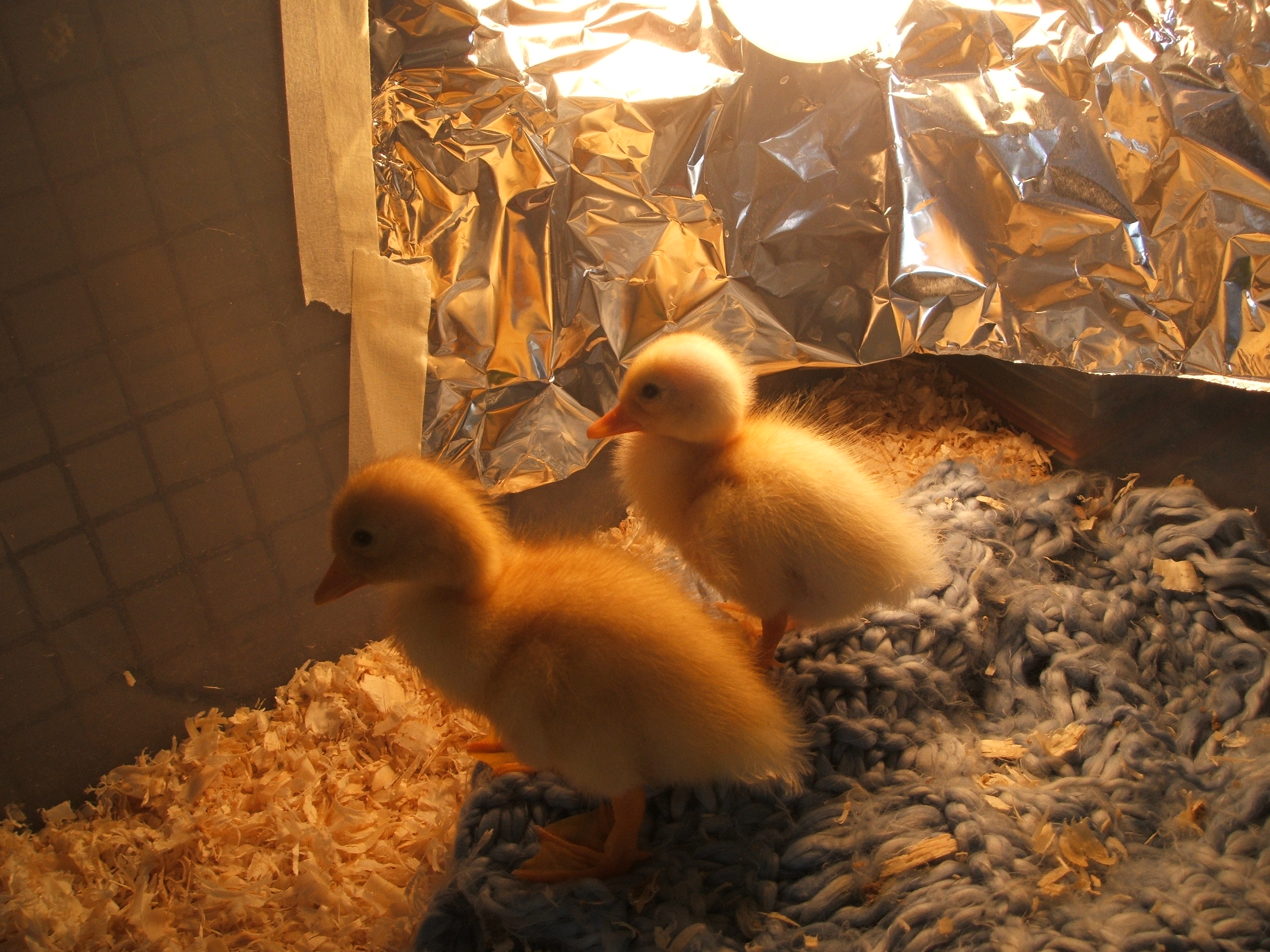 April and Milky.