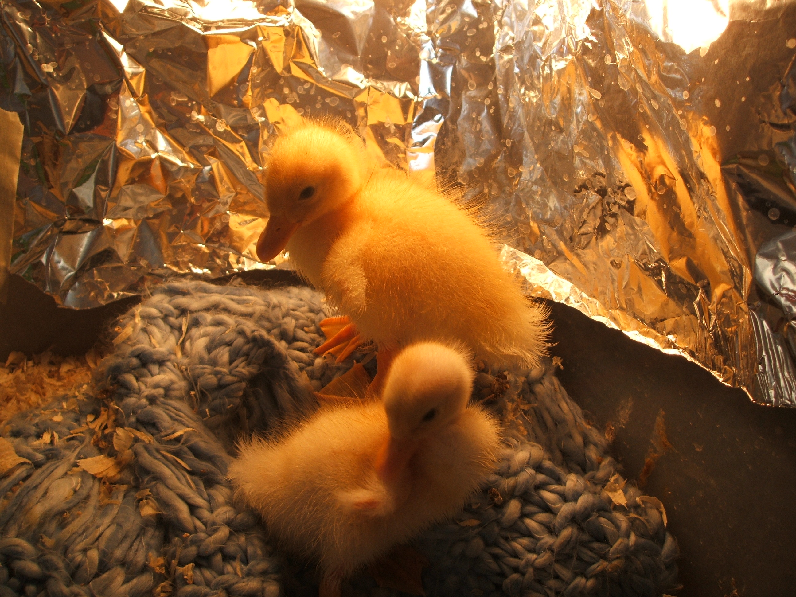 April and Milky.