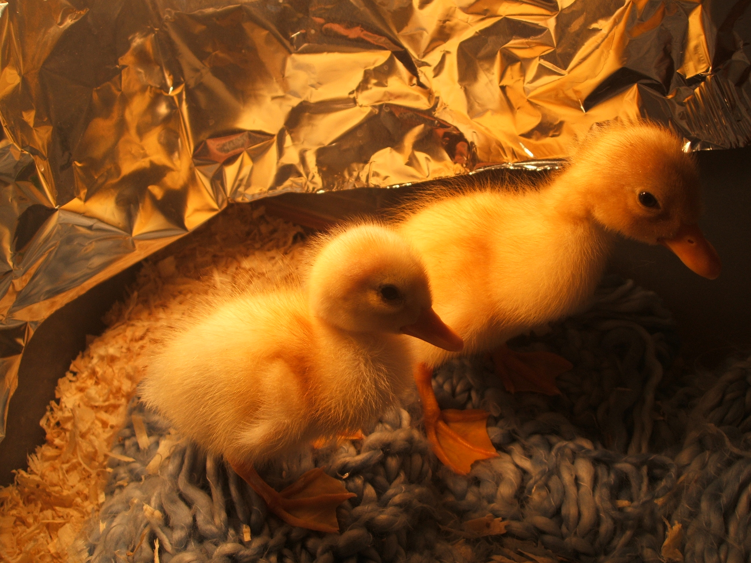 April and Milky.