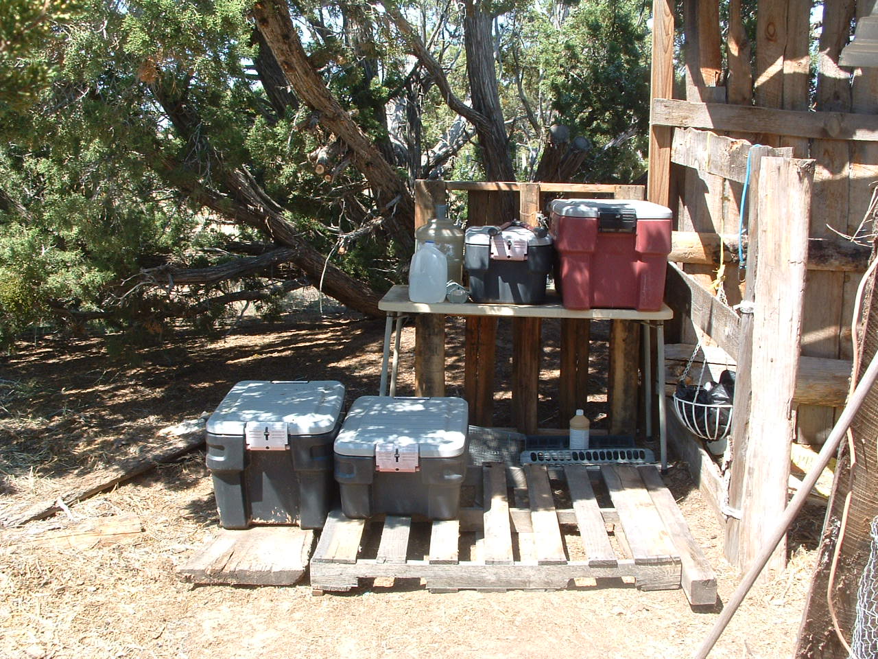 Area where I keep my feed, some tools and where I will have some garden supplies. After I get more pallets I want to build an enclosed shed.