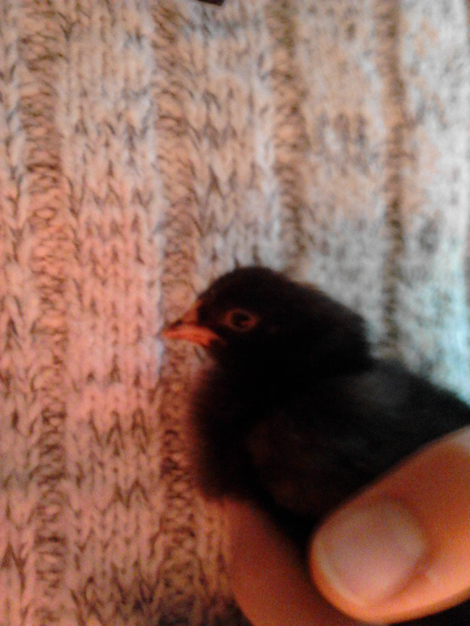 Around 1 week