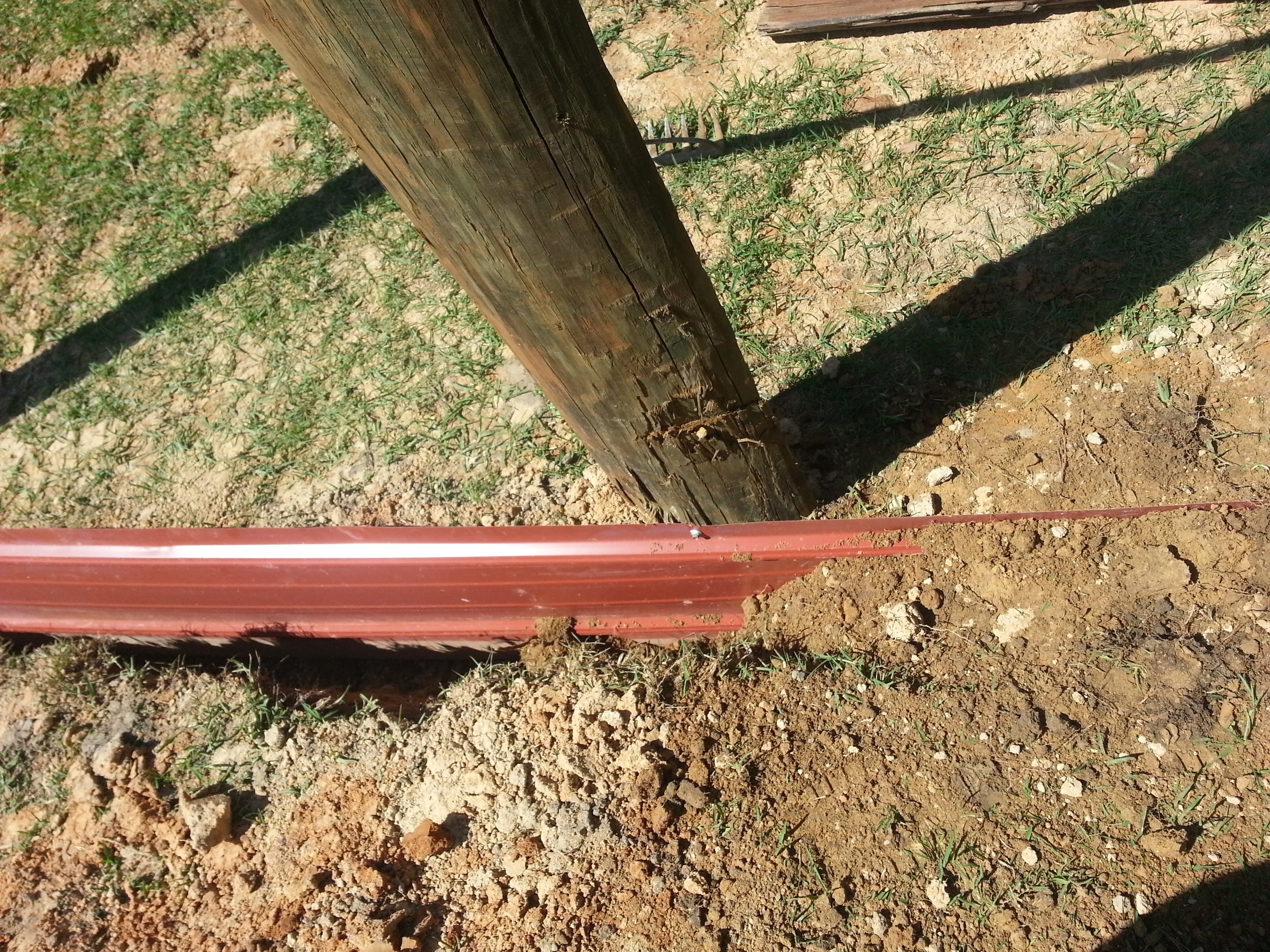 Around the big coop, we are burying 2ft of tin to keep predators from digging under the fence. We had it, so we figured that would be a good use for it.