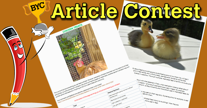article-writing-contest-202.jpg