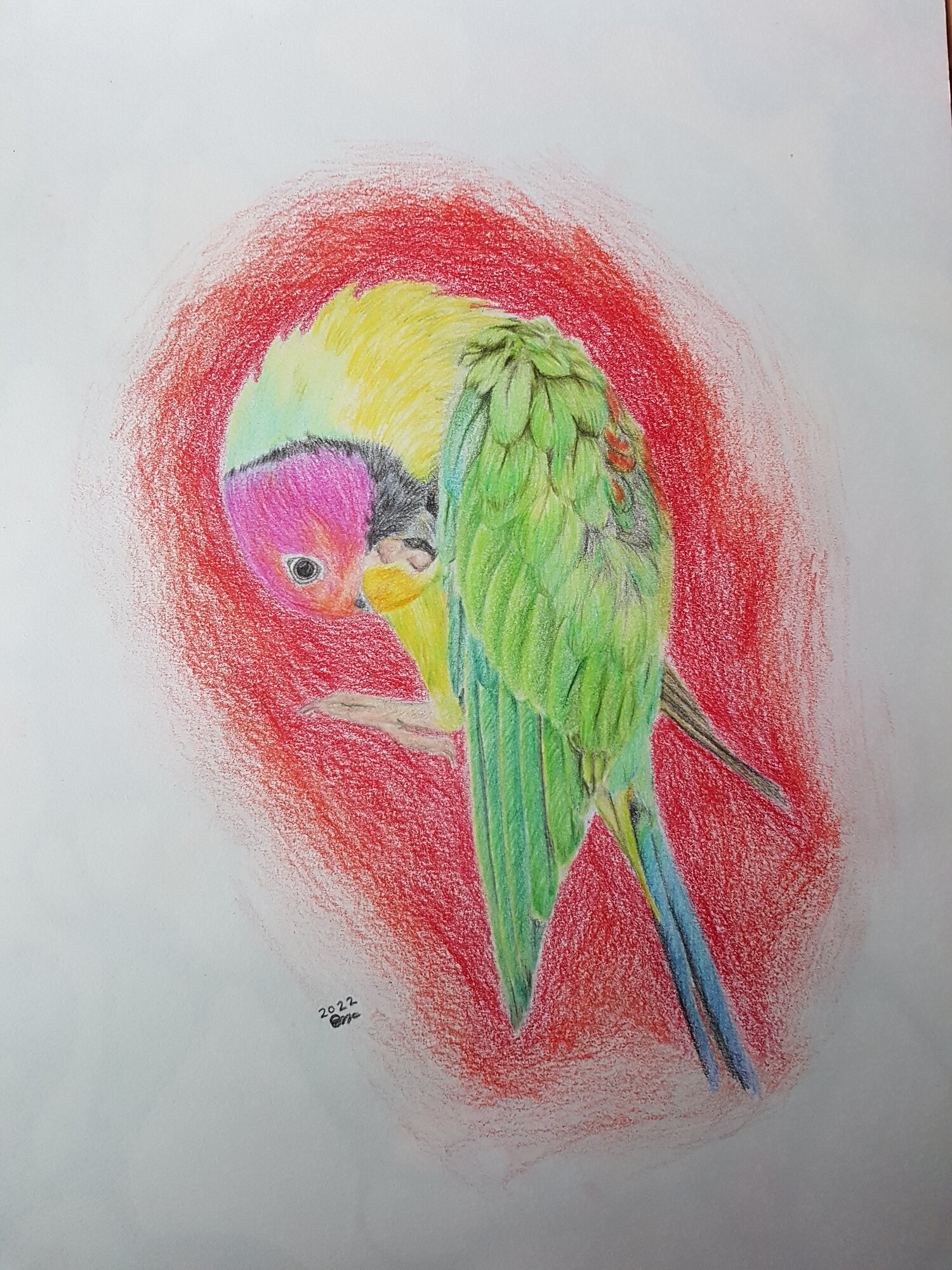 Artwork Contest 1.jpg