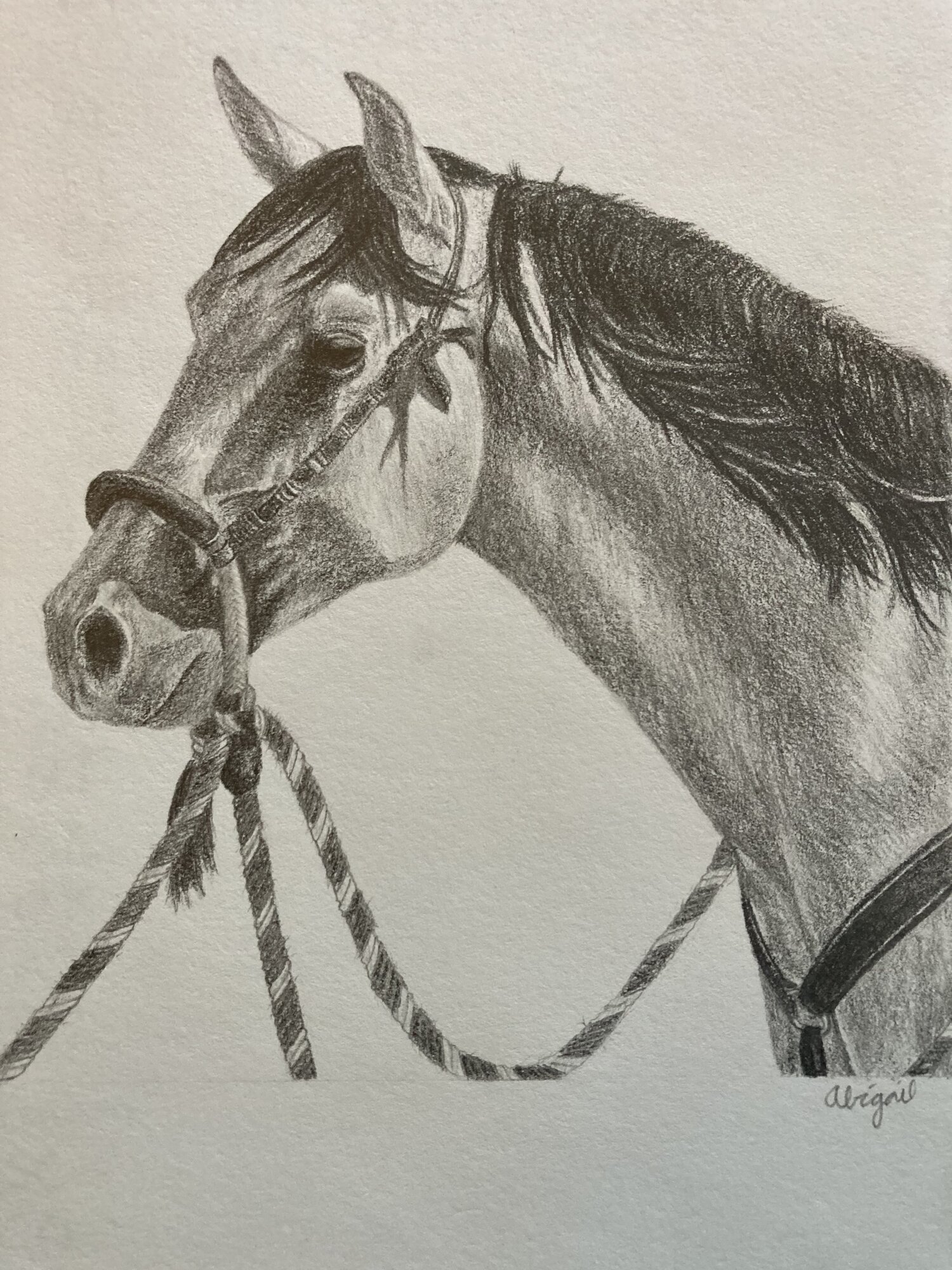 Artwork Contest 2.jpg