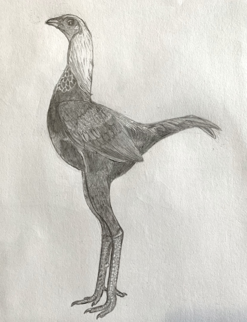 Artwork Contest 35.jpg