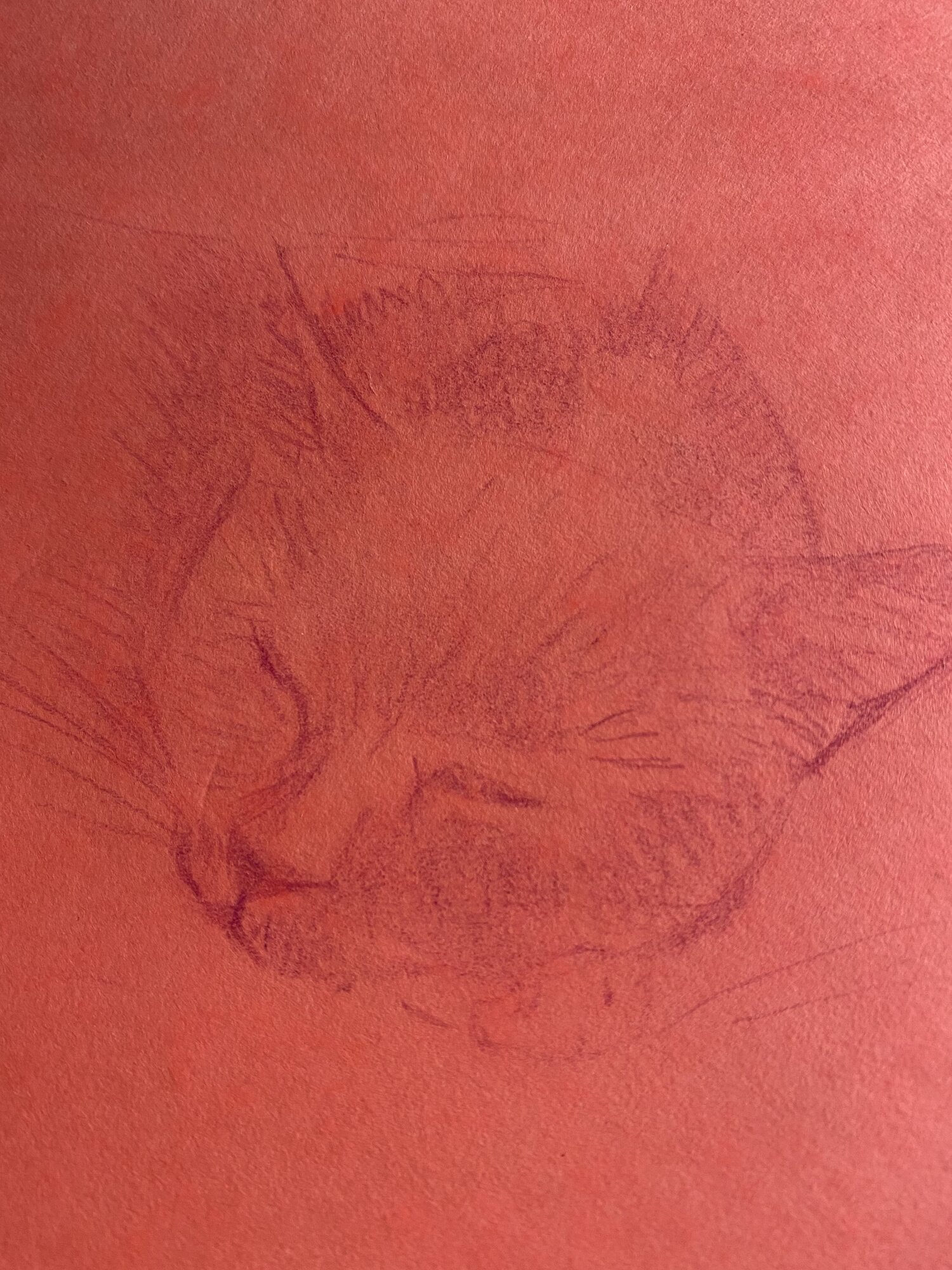 Artwork Contest 51.jpg