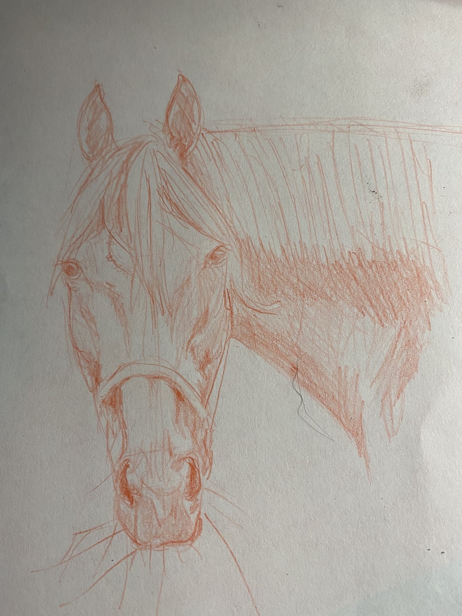 Artwork Contest 52.jpg