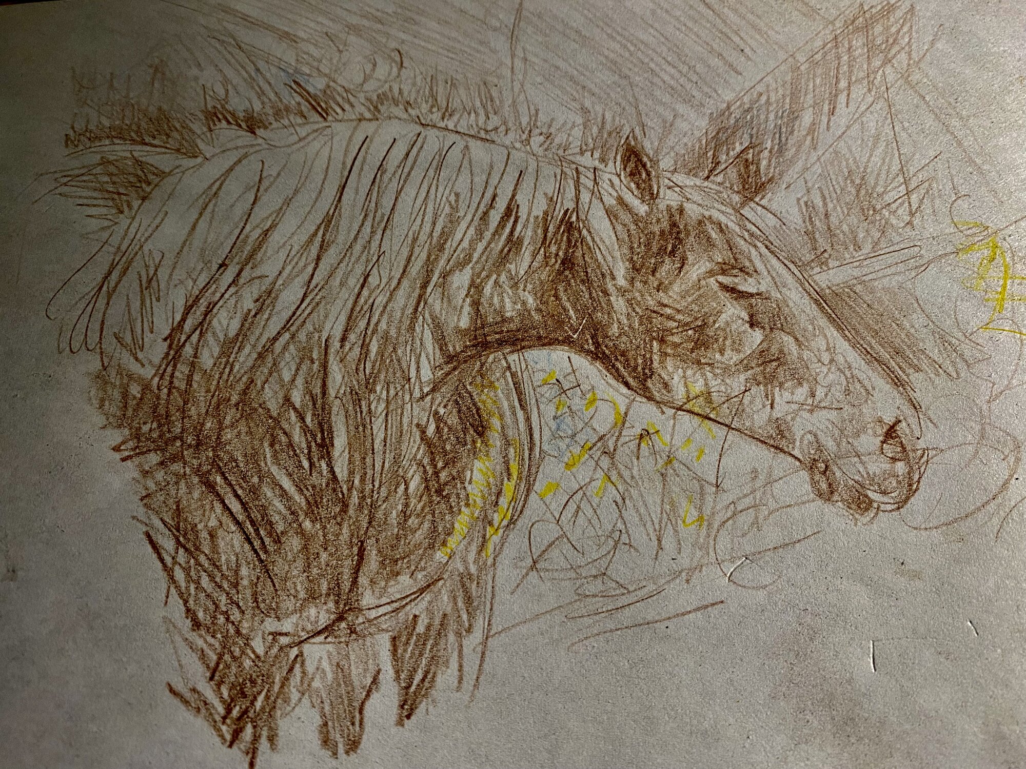 Artwork Contest 53a.jpg