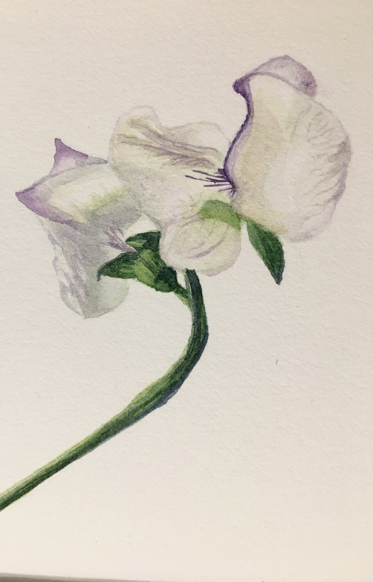 Artwork Contest 57.jpg