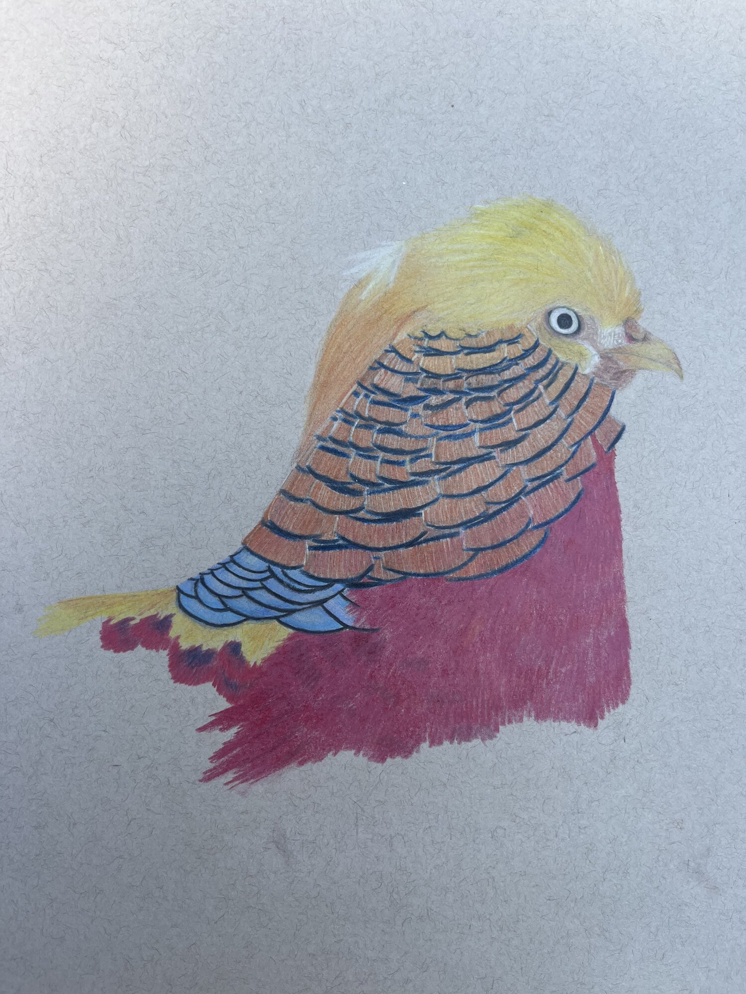 Artwork Contest 62.jpg