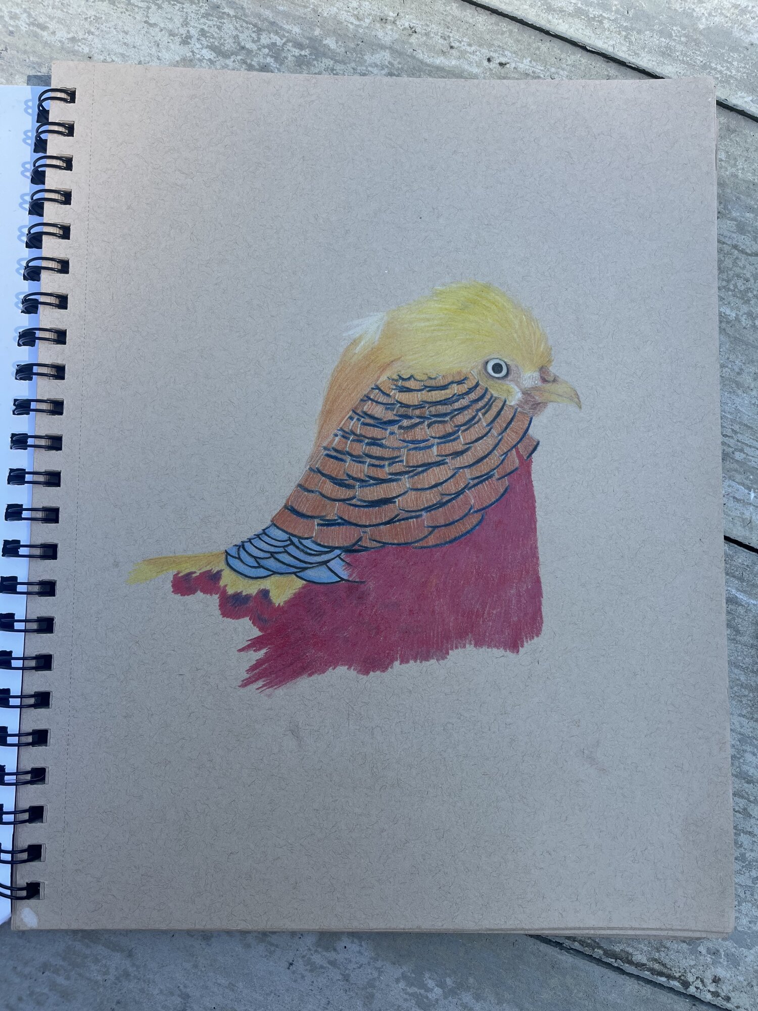 Artwork Contest 63.jpg