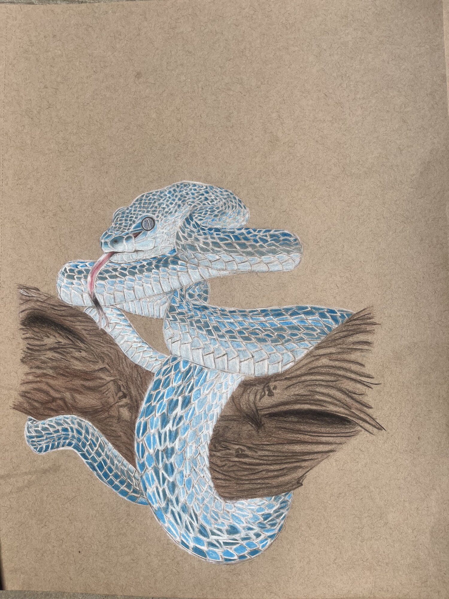 Artwork Contest 64.jpg