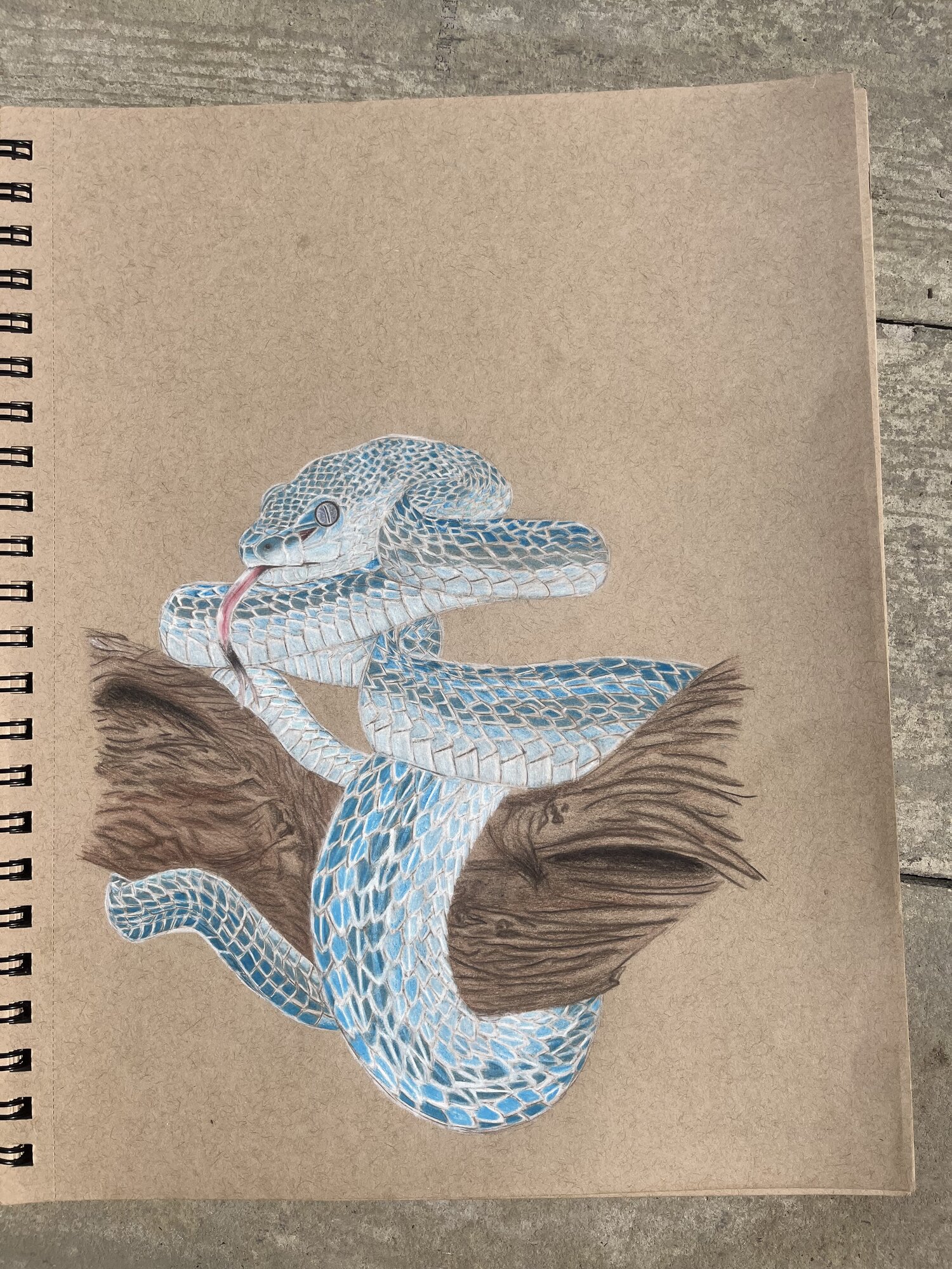 Artwork Contest 65.jpg