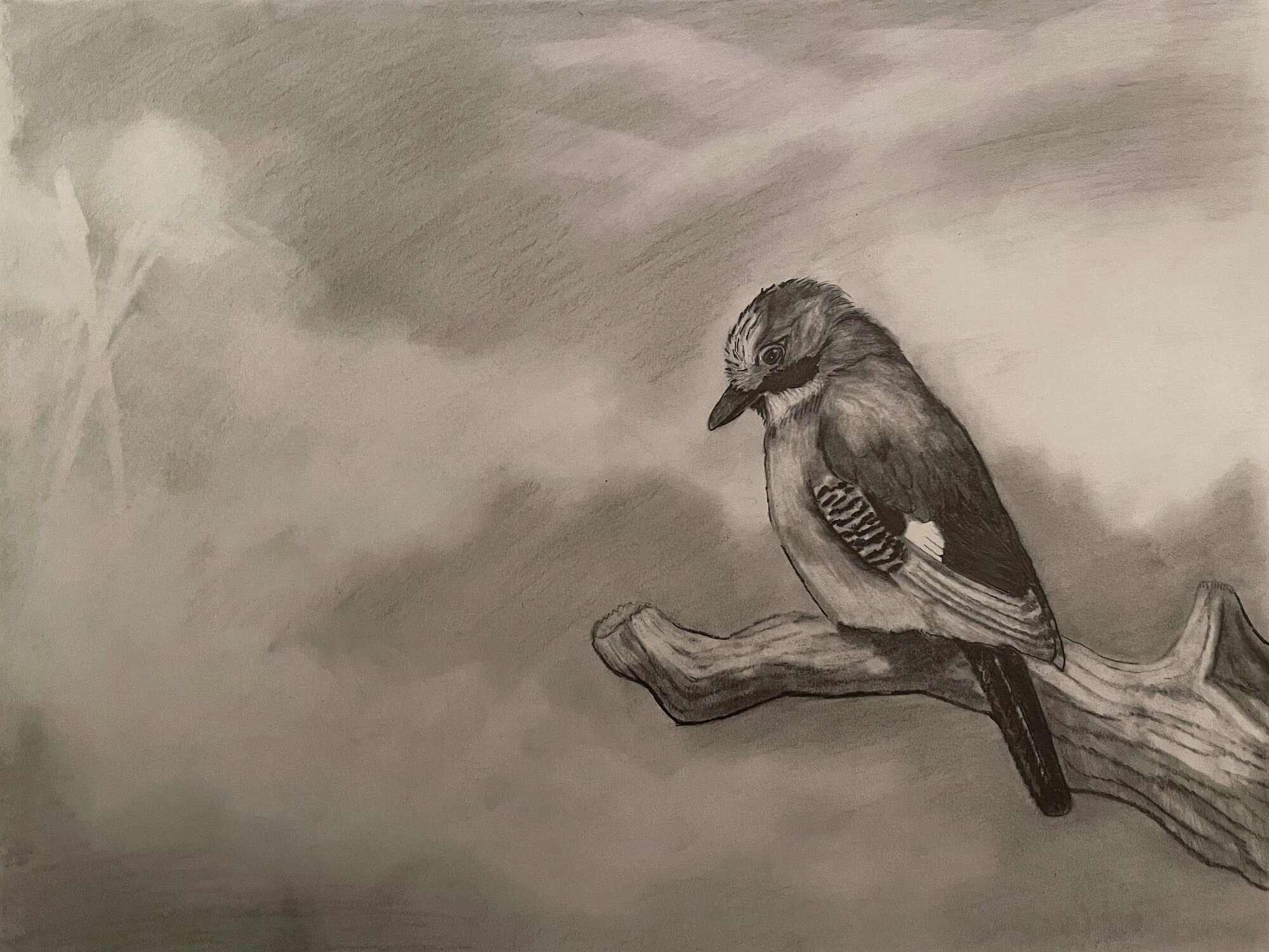 Artwork Contest 7.jpg