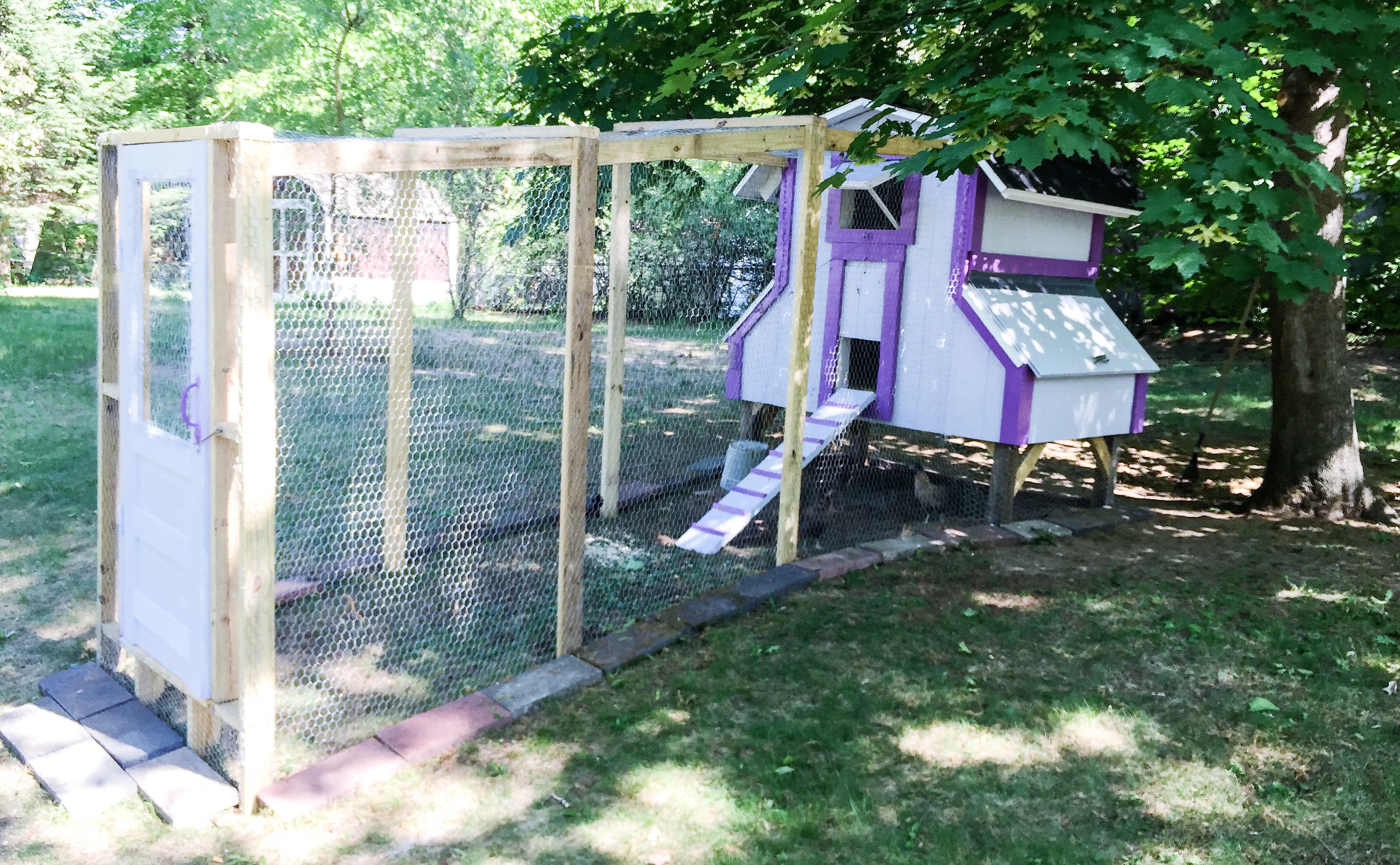 As you can see the house is shaded by a good sized maple tree so the girls never are exposed to excessive sun and heat.