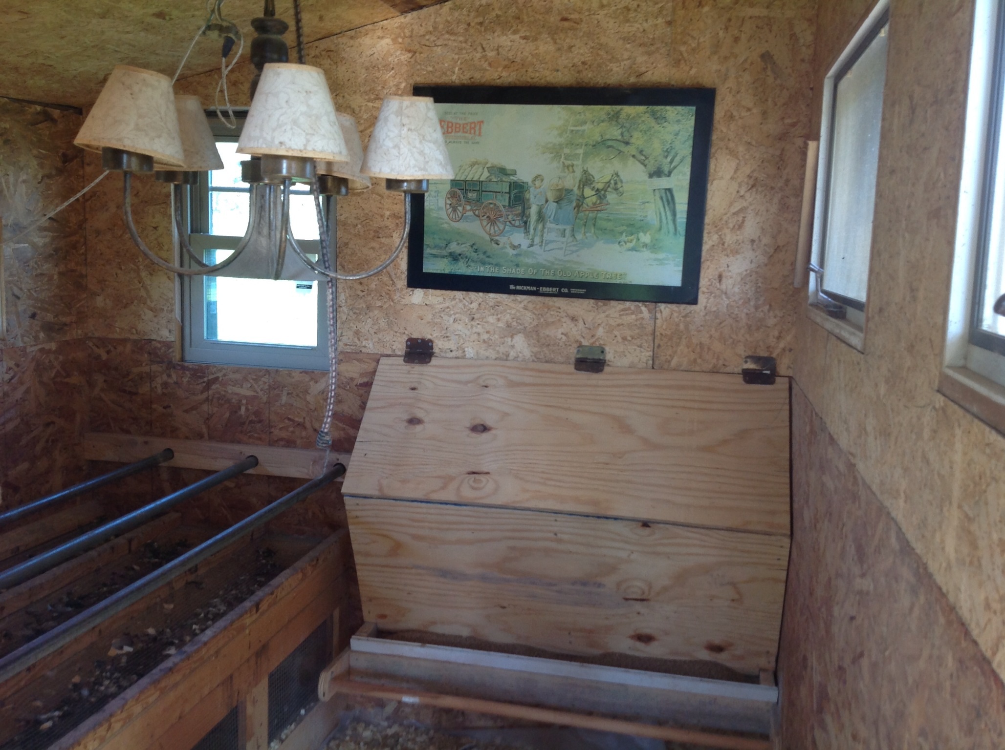 As you enter coupe from storage this is my girls living quarters complete with chandelier and photos. The roost are bottom left over the poop clean out below cover in wire mesh. The living quarters is 13' x 8'. The back wall has a feed bin holding three varieties of feed up to 100 pounds.