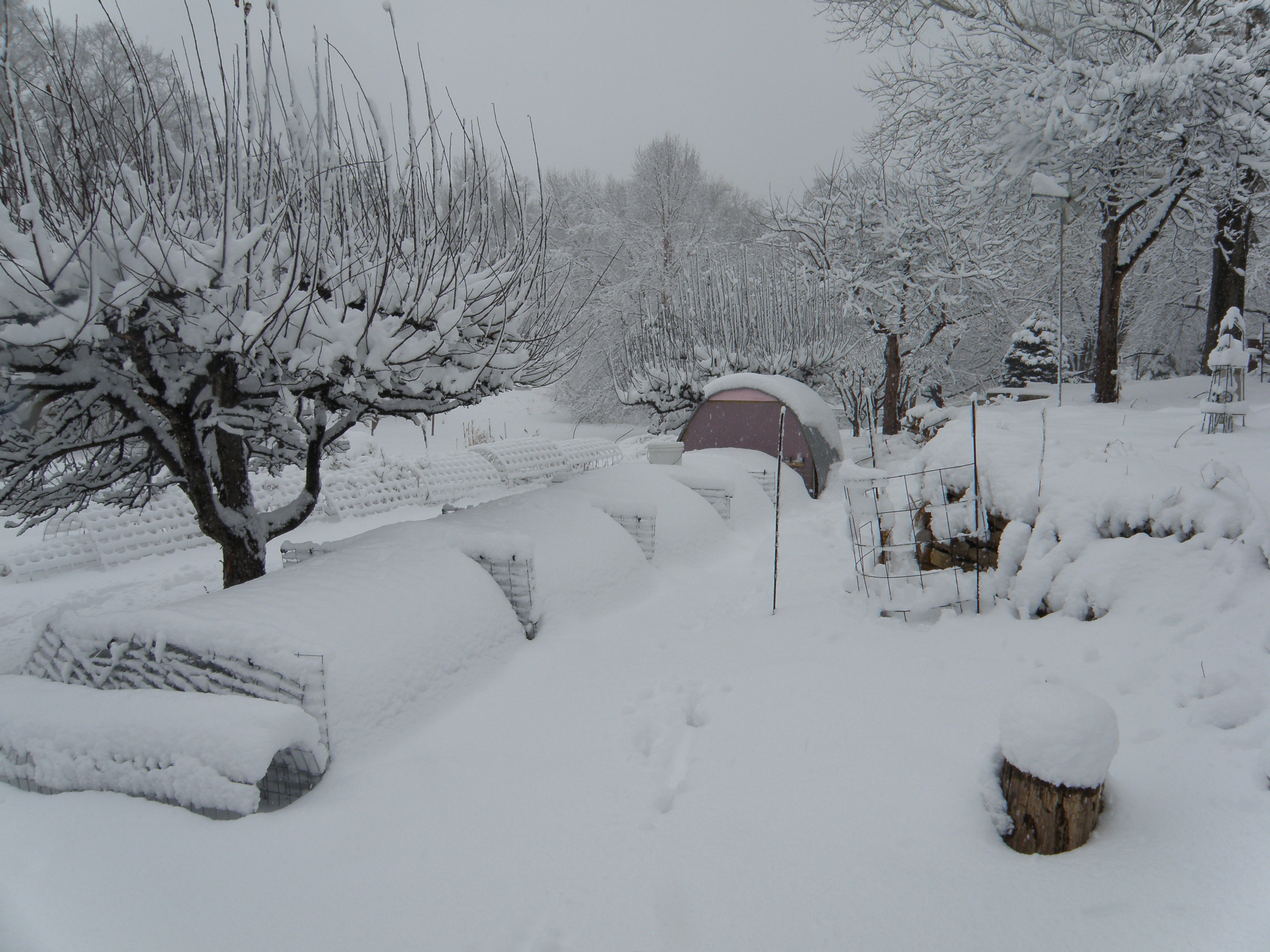 Assembled section with winter coverings