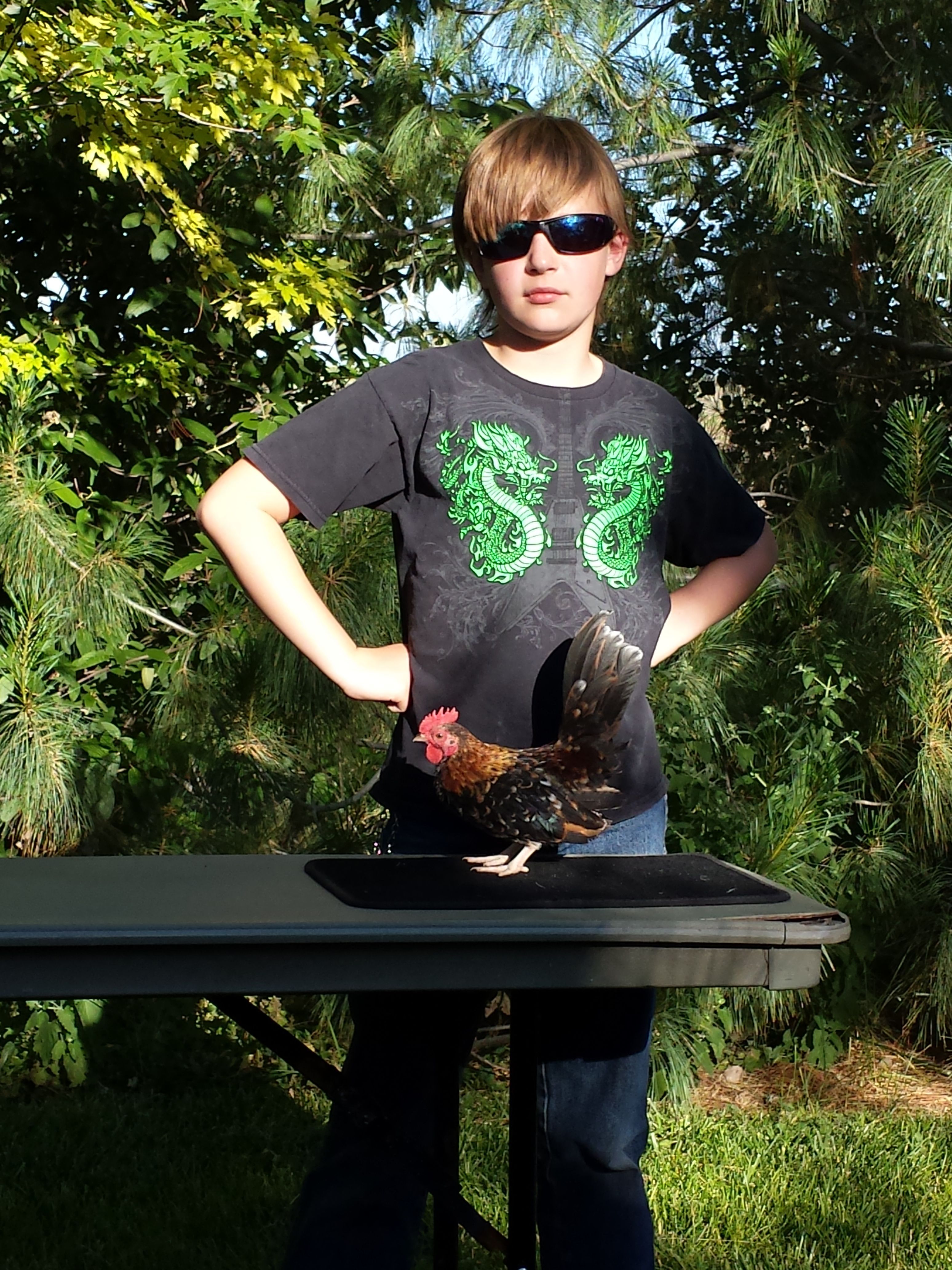 At showmanship practice, summer of 2015, with Groot - cockerel