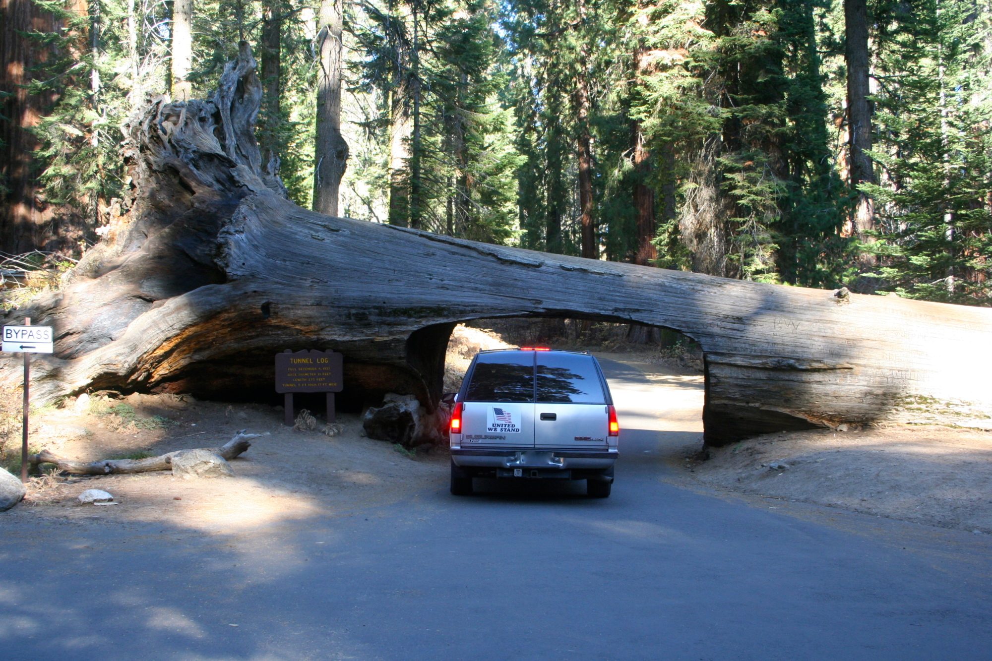 At the sequoia national forest