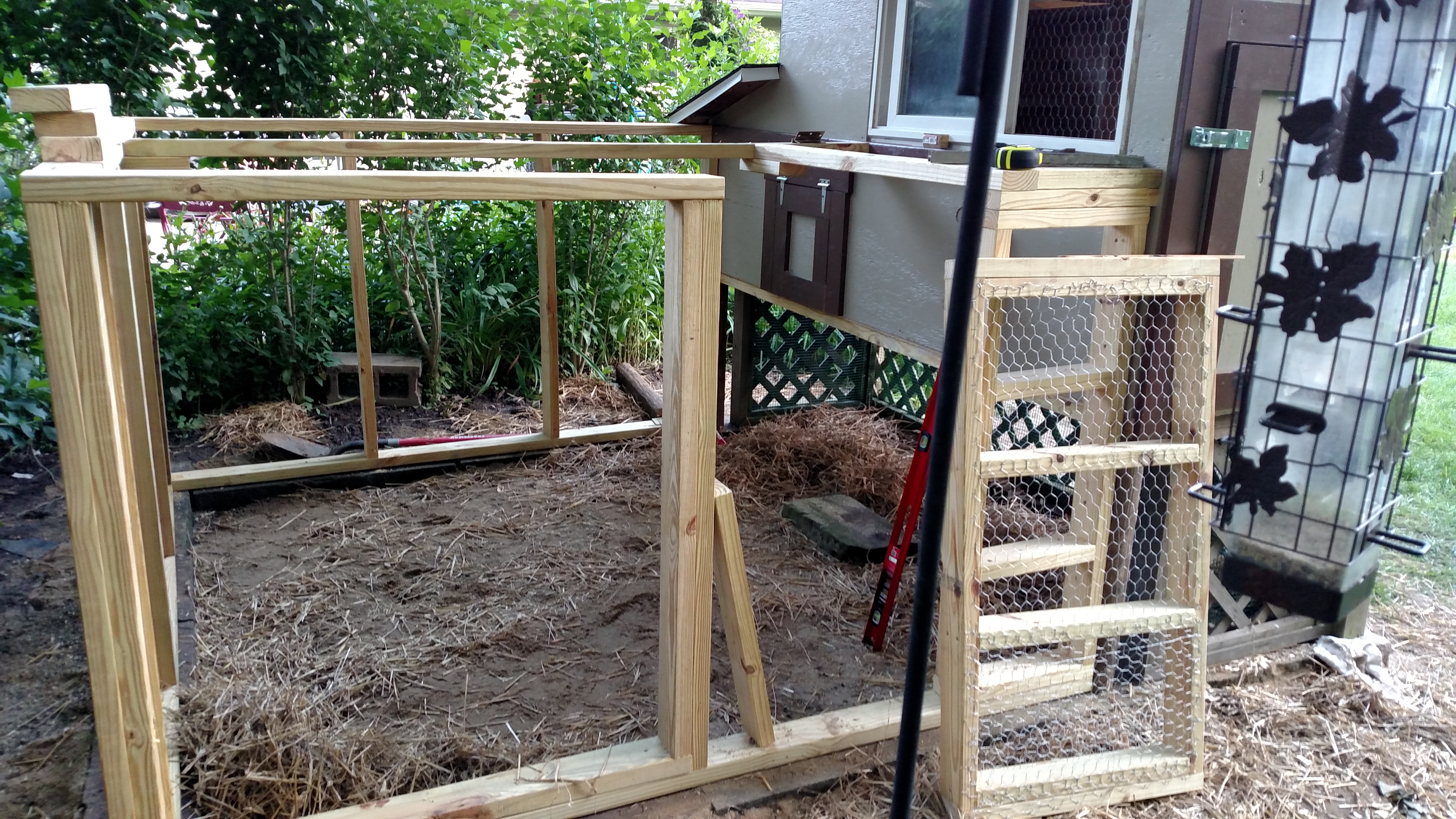 attached run before fencing was added, the coop is raised 36" to give additional shelter in summer and during rain