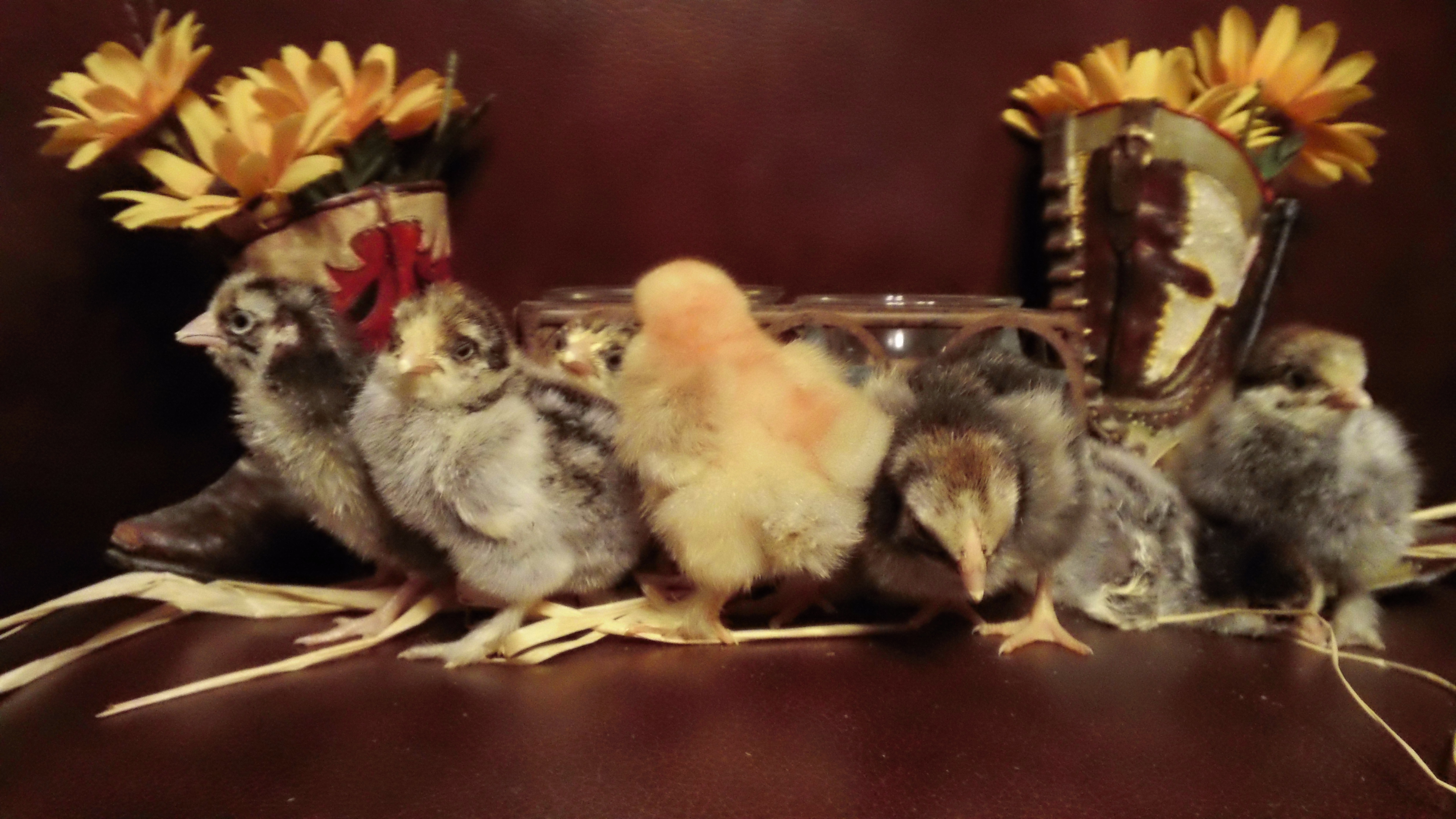 Attempted group shot!!