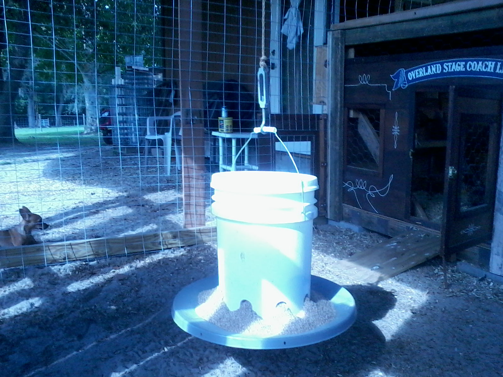 Automatic feeder from plans on this website