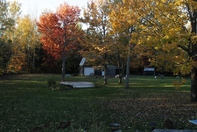 Autumn has arrived!