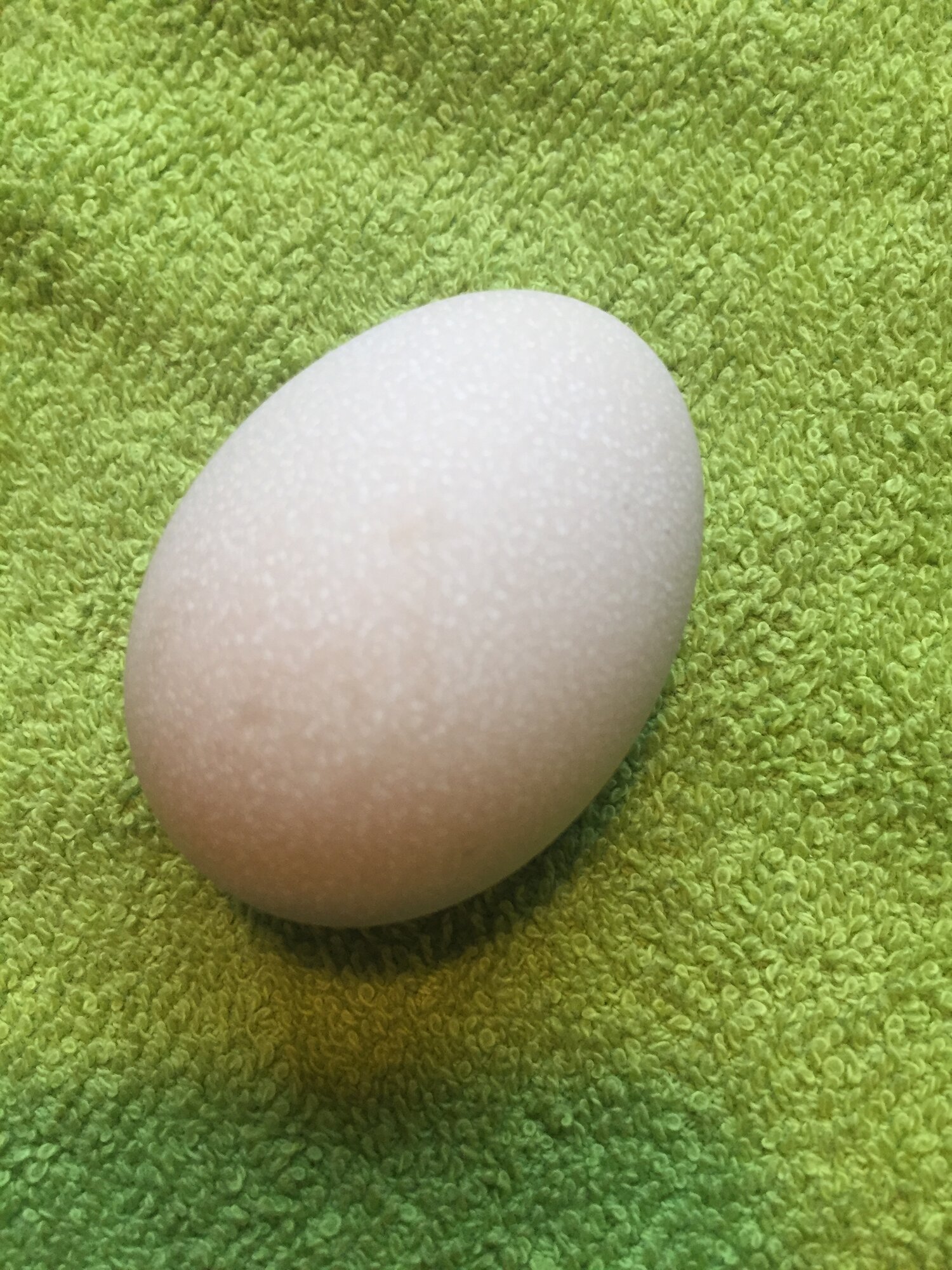 B202BB8D-C7B9-47E5-A24C-1837F02A3FDB.jpeg