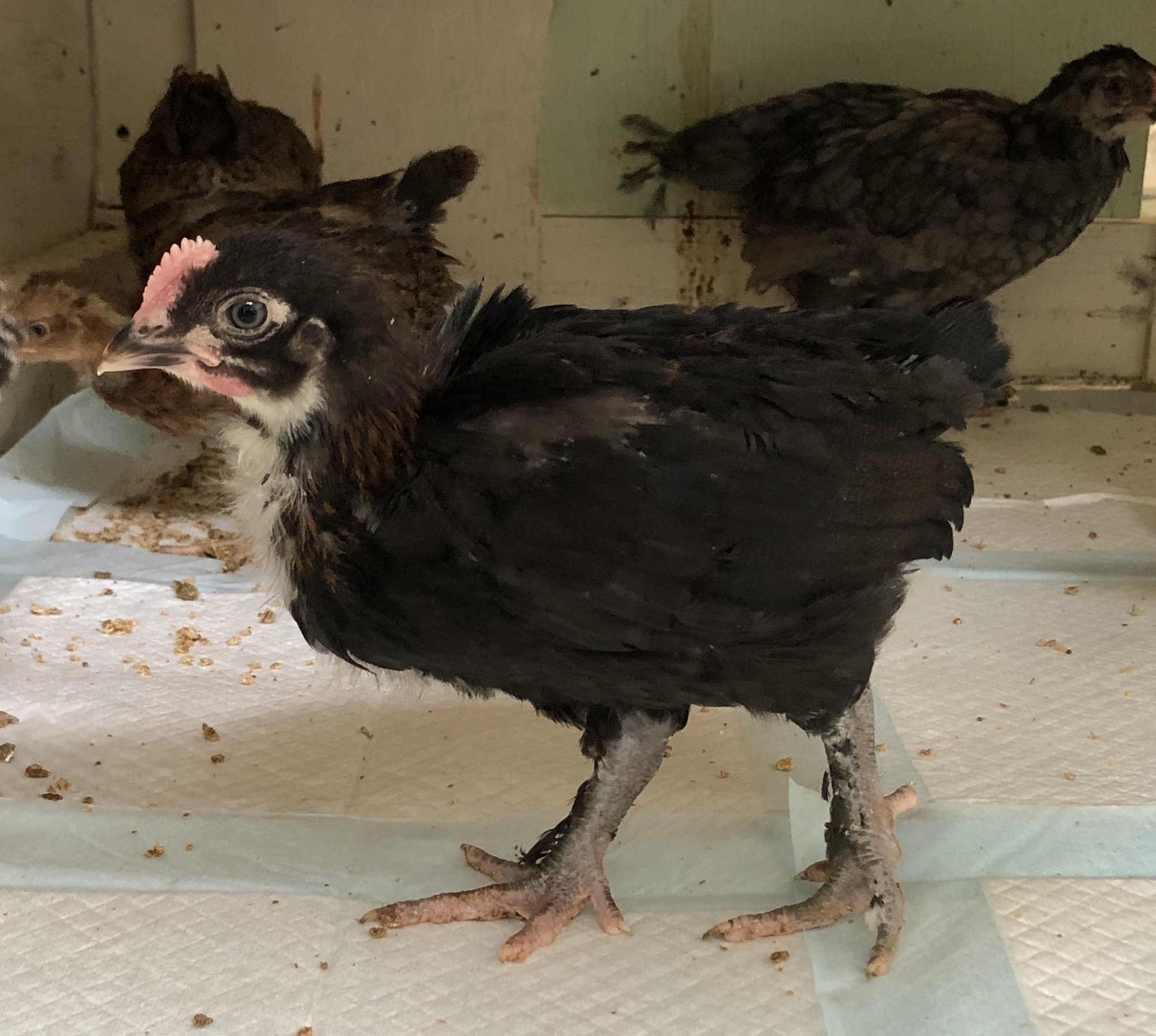 B3B9DF61-FA5B-47FB-BBB2-1AE152CBCF10