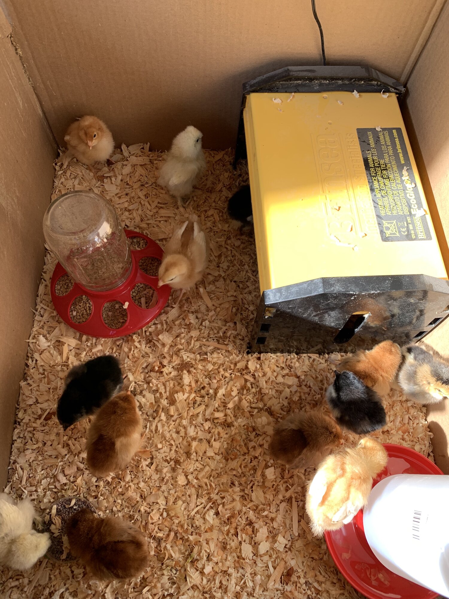 B4B1F500-6A4F-4E9A-A5AB-27BC50A7FABE