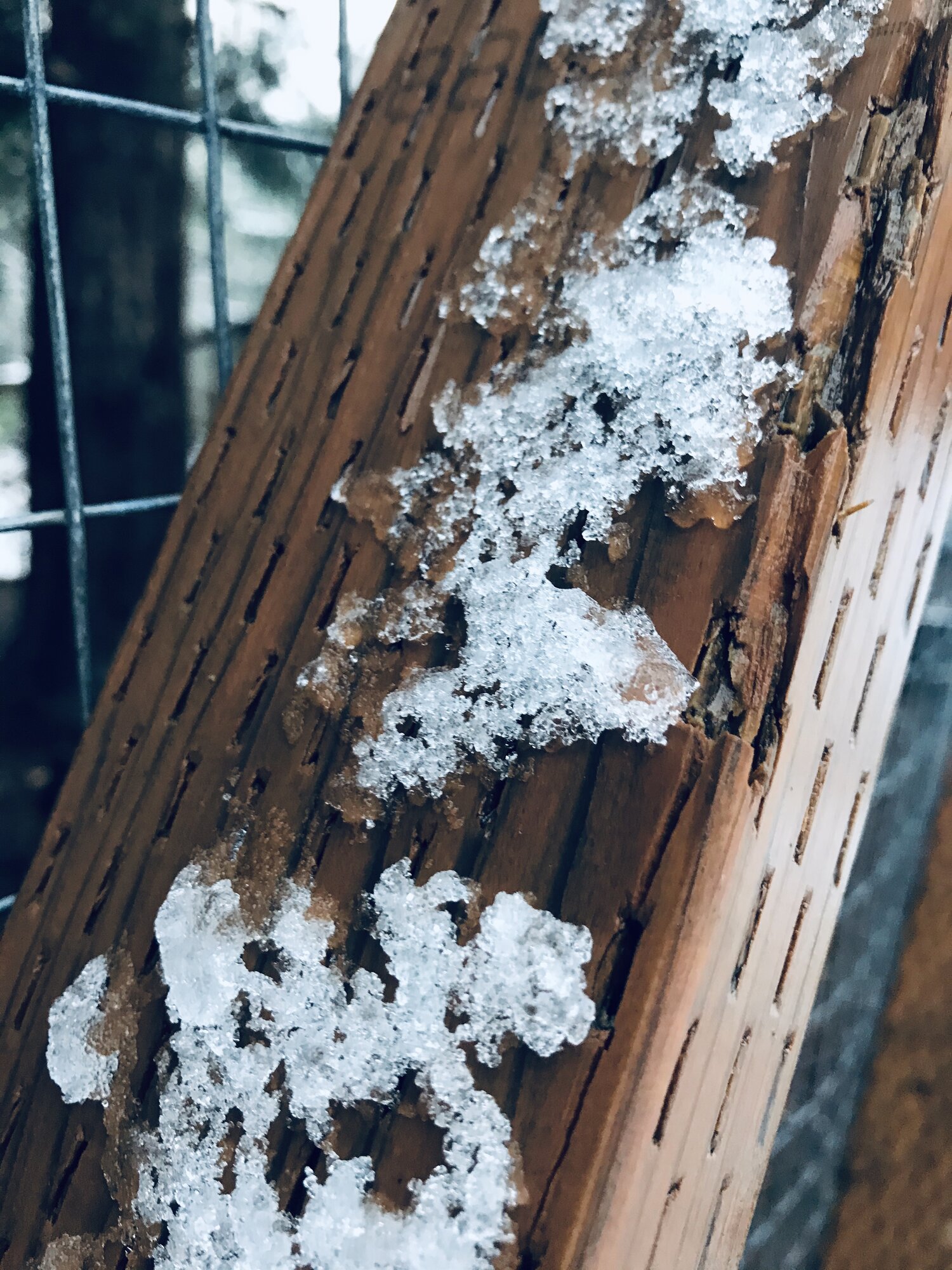 B65F4213-2DBC-441B-B03F-54816F6EA5C9.jpeg