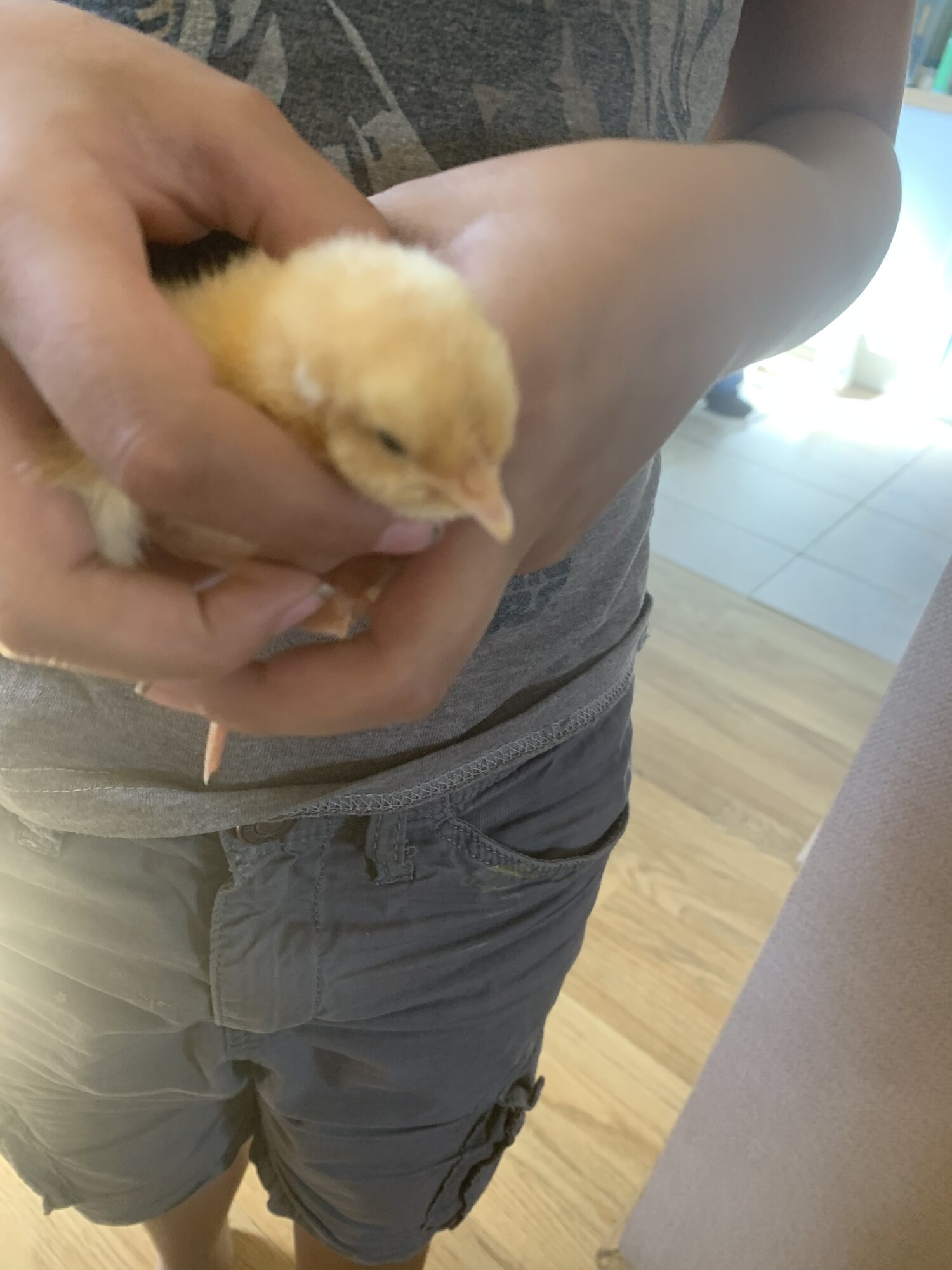 B6E7883F-6954-4306-9F22-3A353509F70D.jpeg