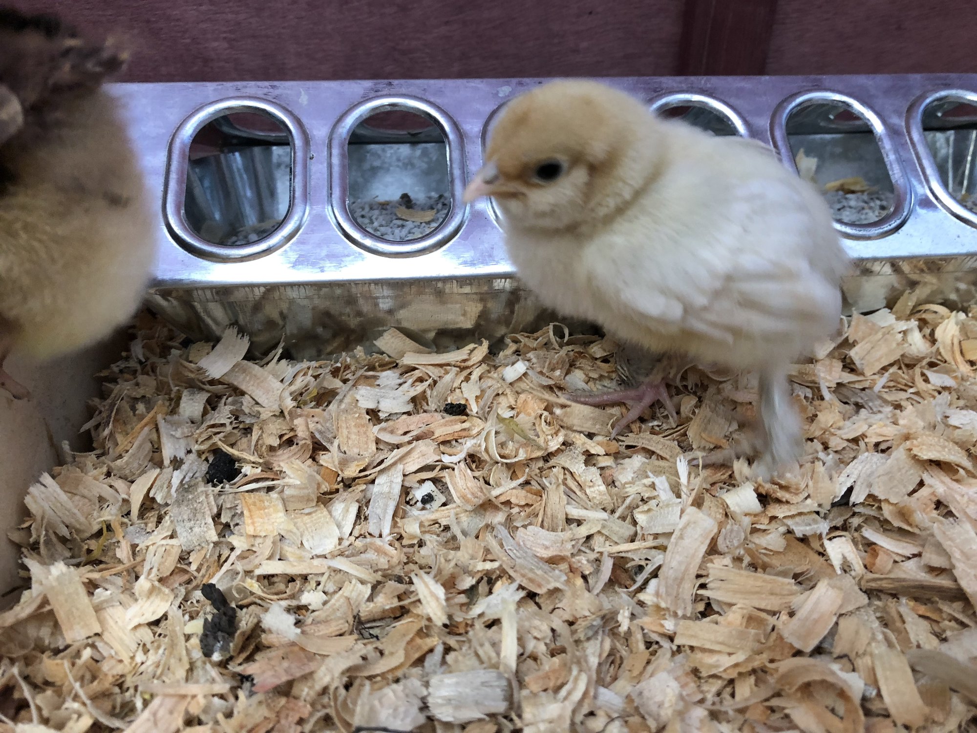 B9D28B89-69D8-4BEA-A6CF-719A92D96F67