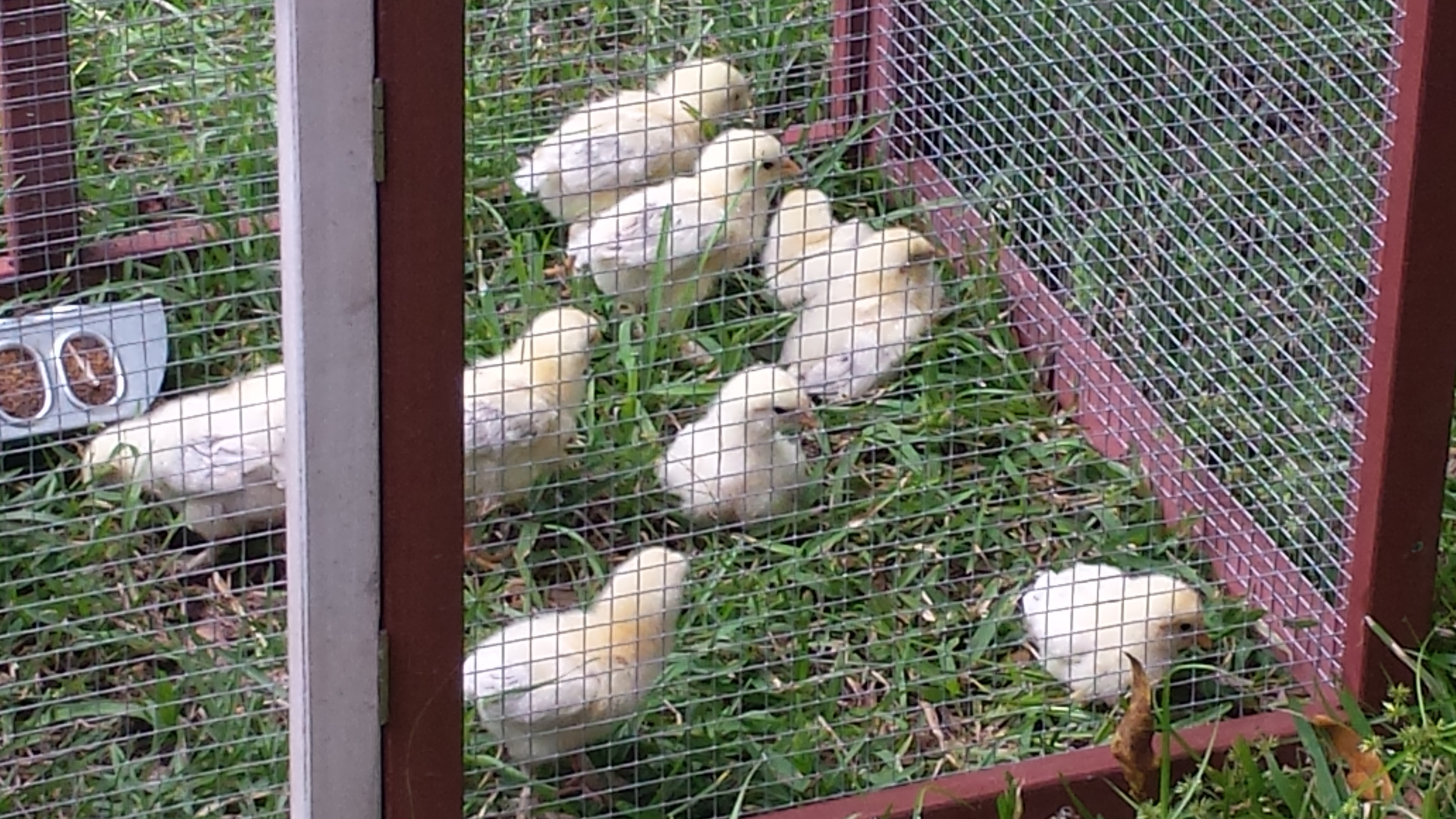 Babies first day out.  5 months ago.