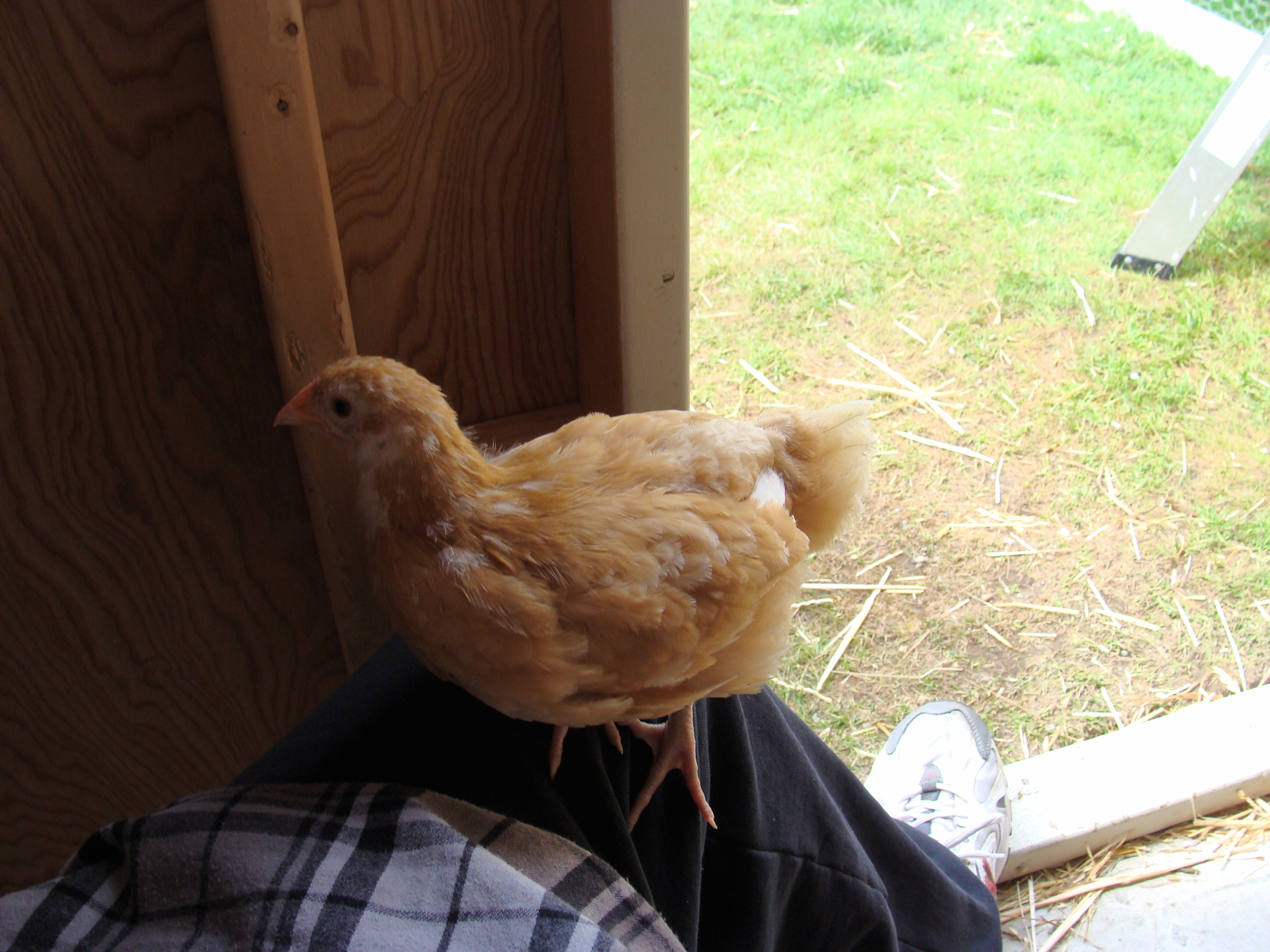 Baby Berta.