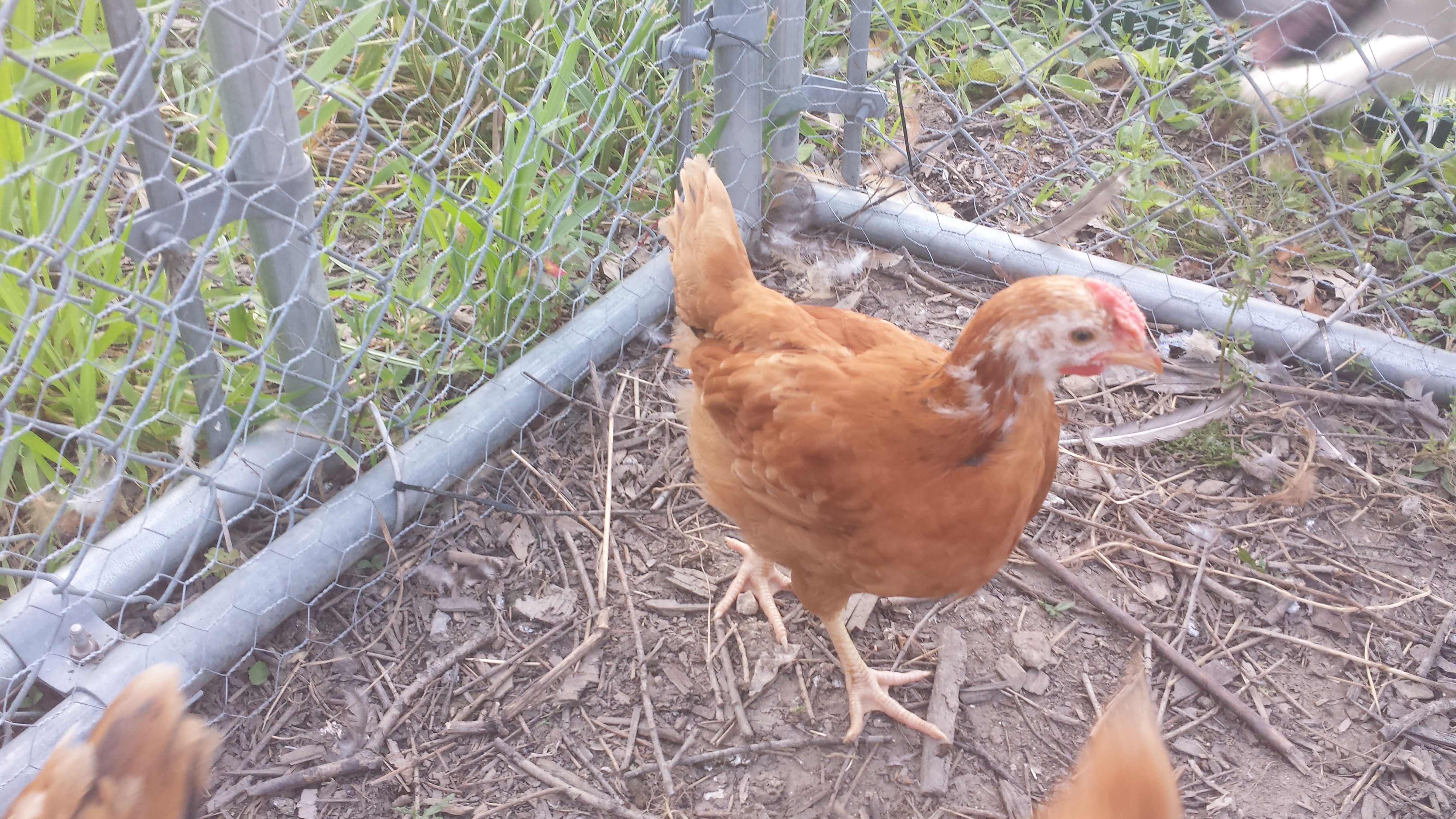 Baby boys everywhere!!