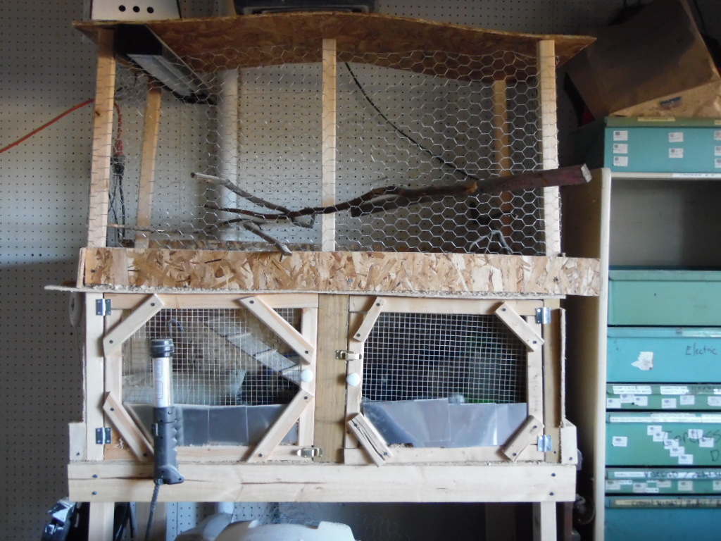 Baby Brooder - 2 layers 2 doors on the bottom